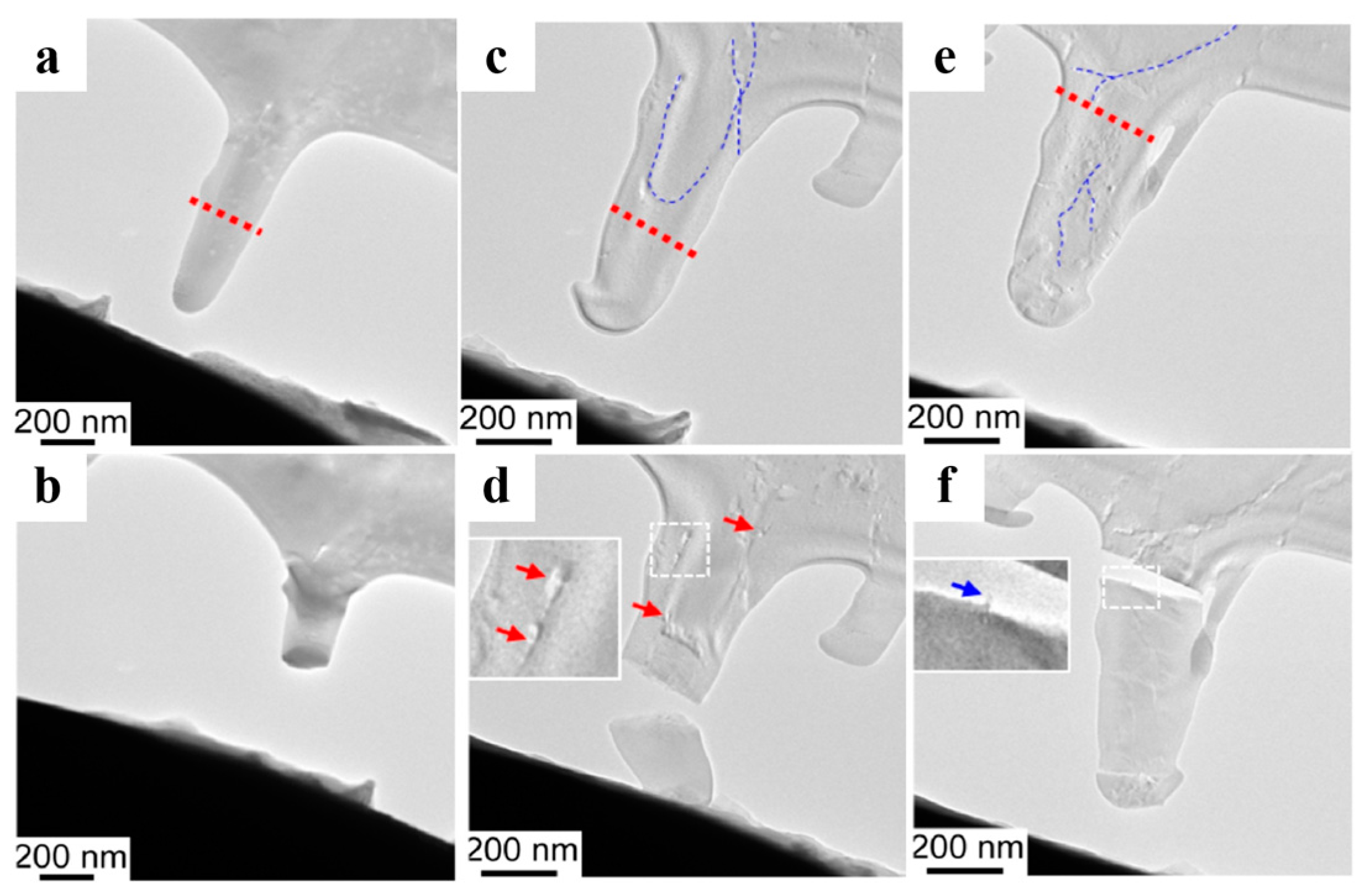 Polymers 16 02379 g006