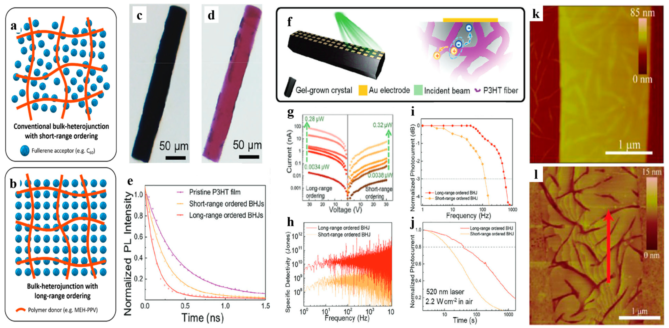 Polymers 16 02379 g007