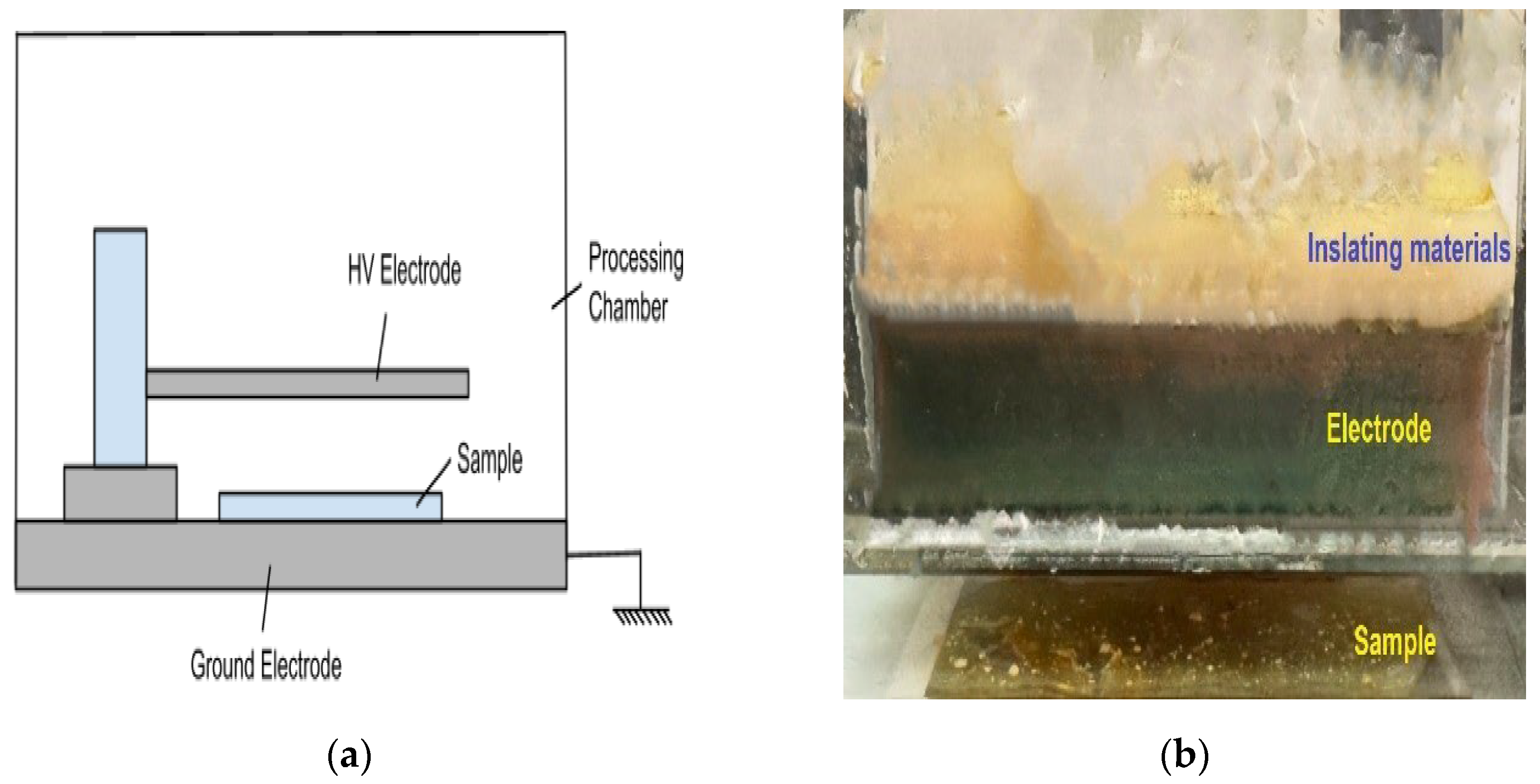 Polymers 16 02380 g001