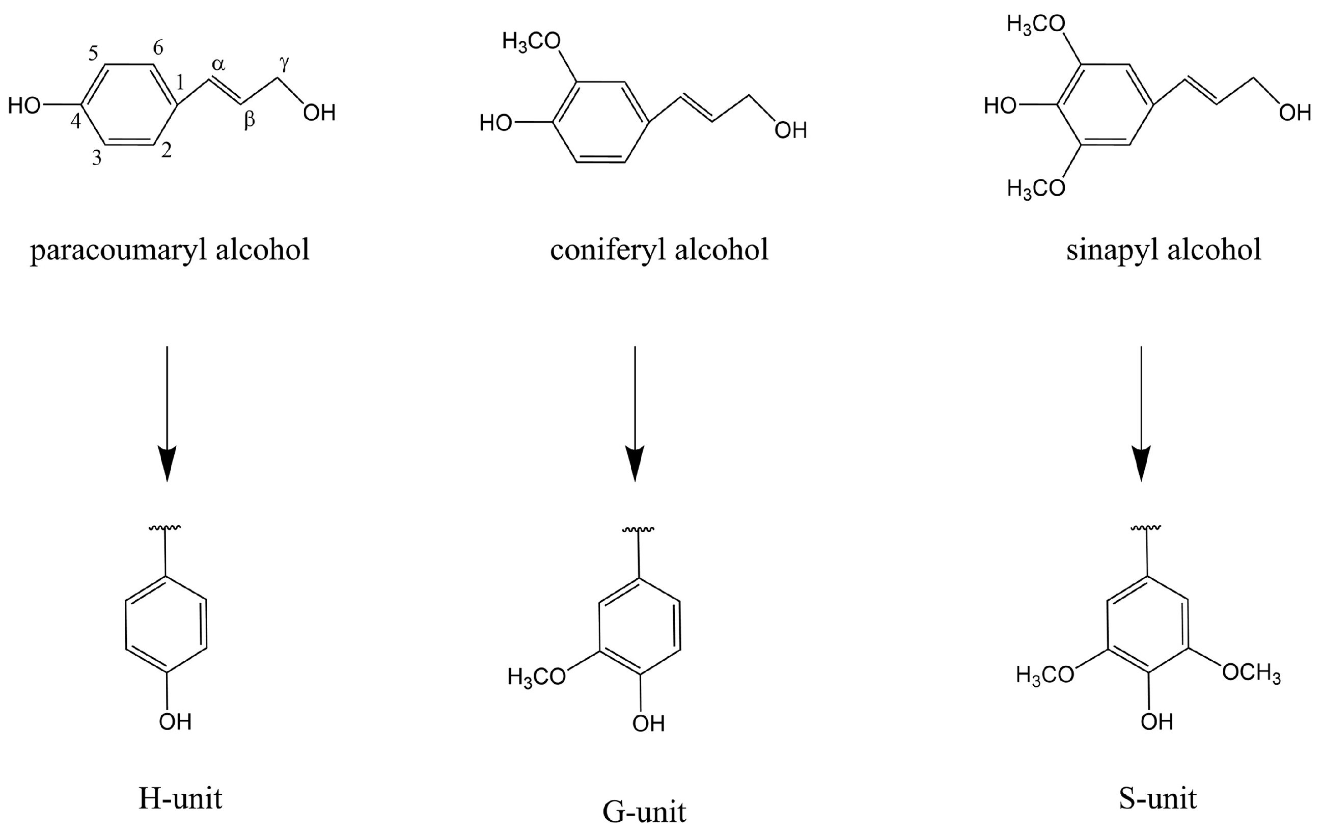 Polymers 16 02388 g002