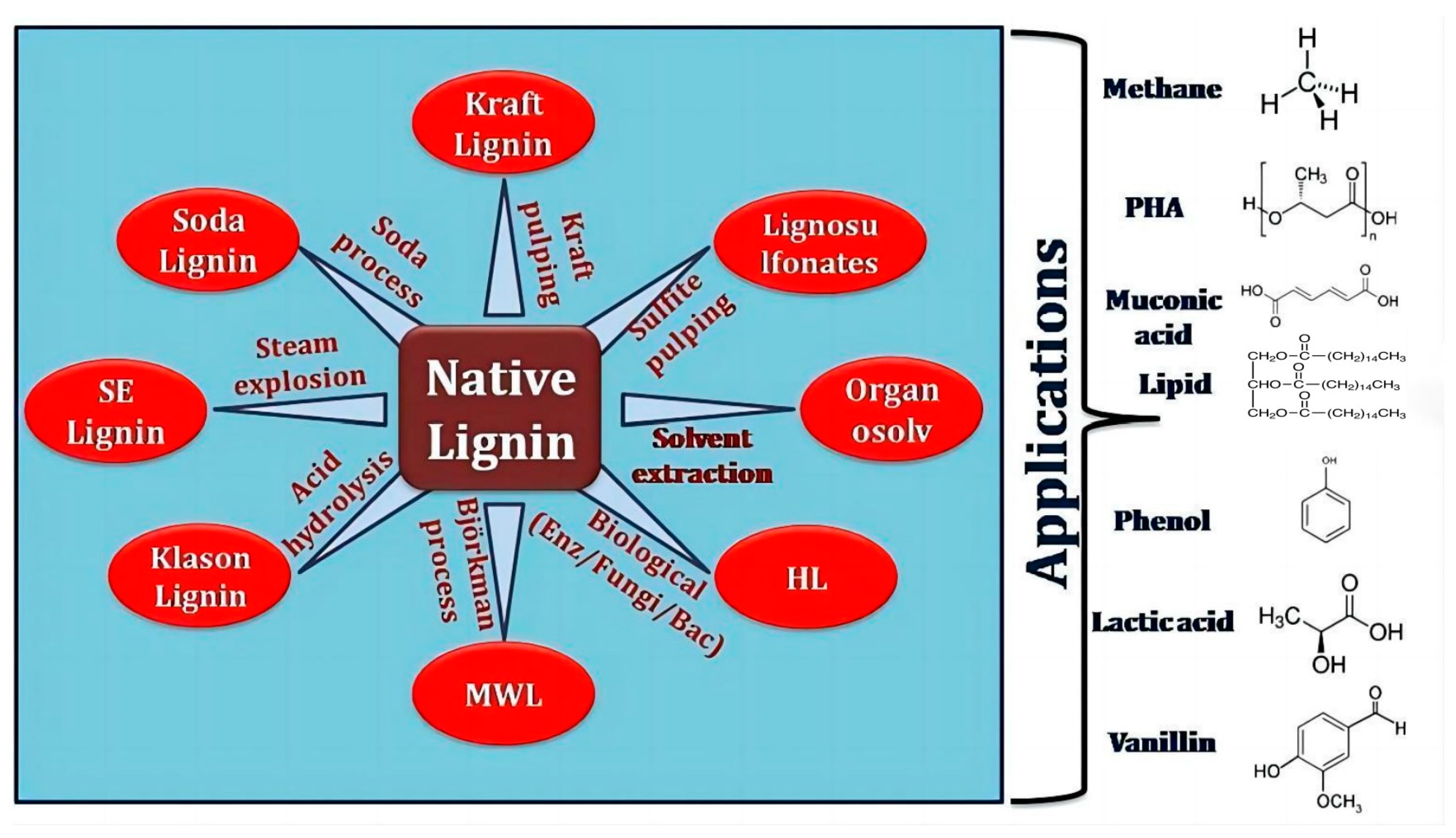 Polymers 16 02388 g003