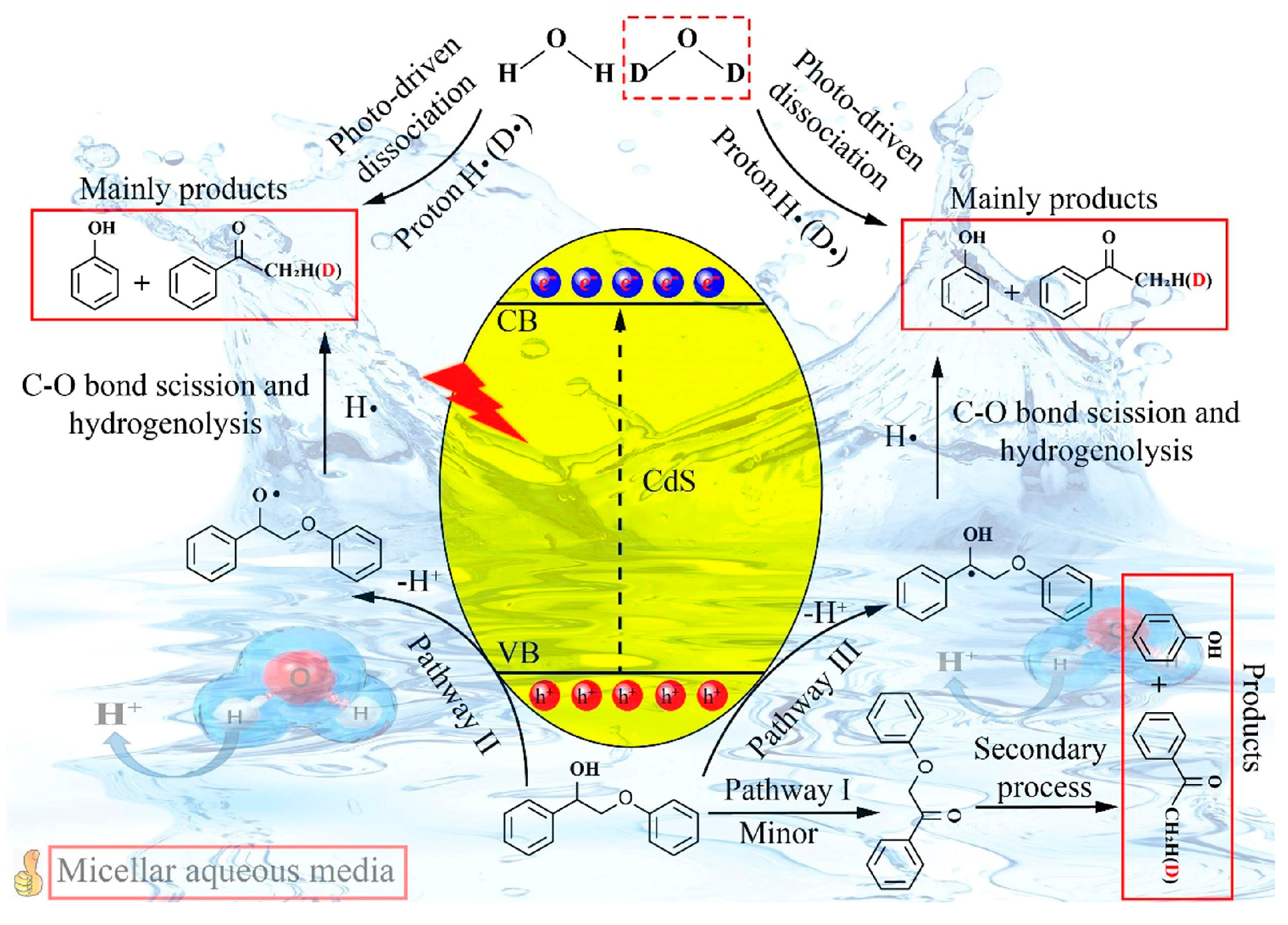 Polymers 16 02388 g006