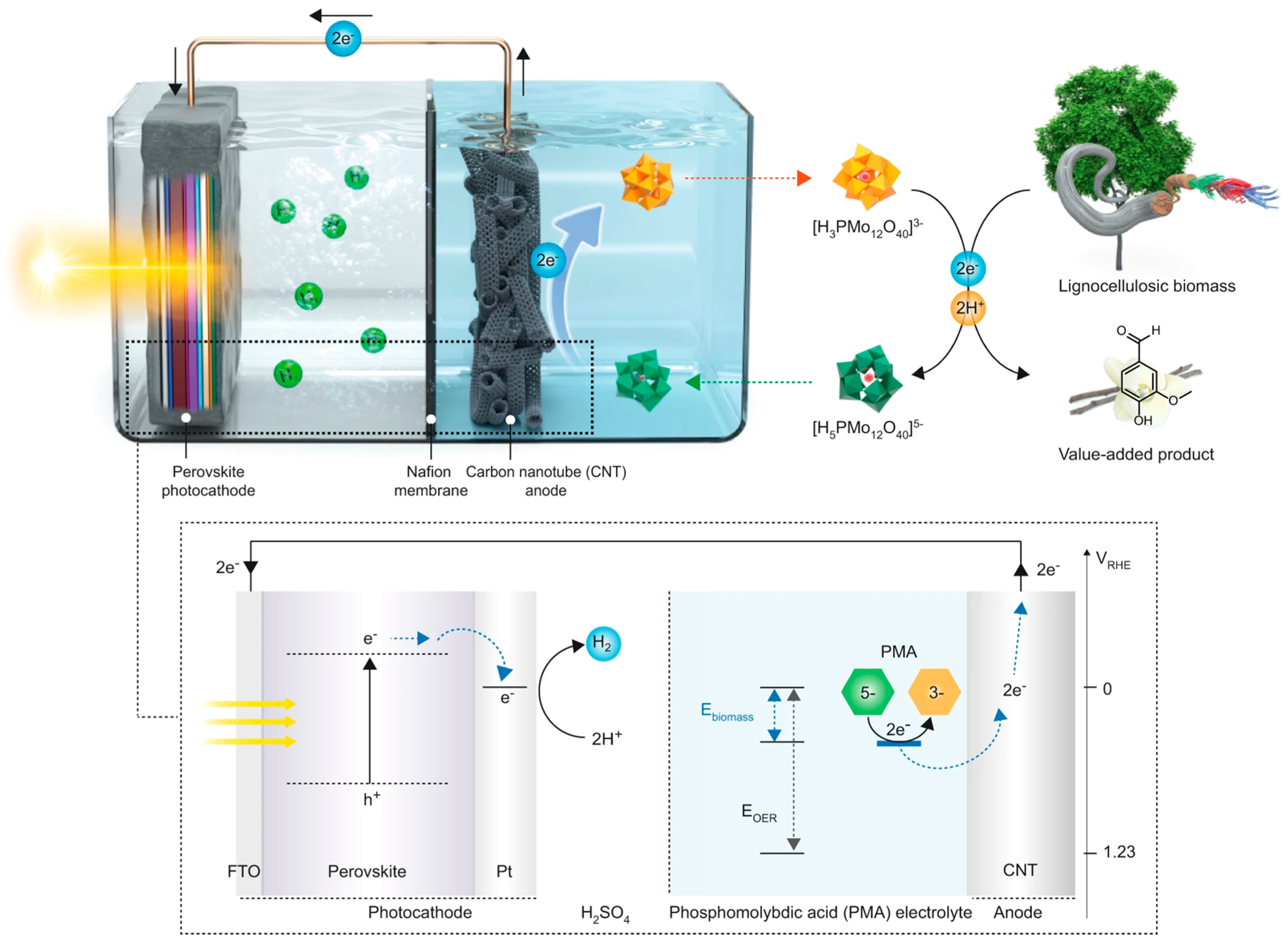 Polymers 16 02388 g007