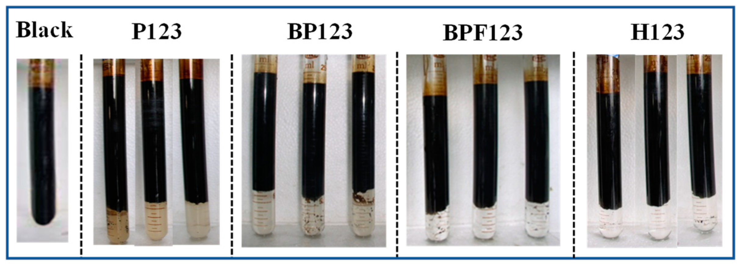 Polymers 16 02392 g004