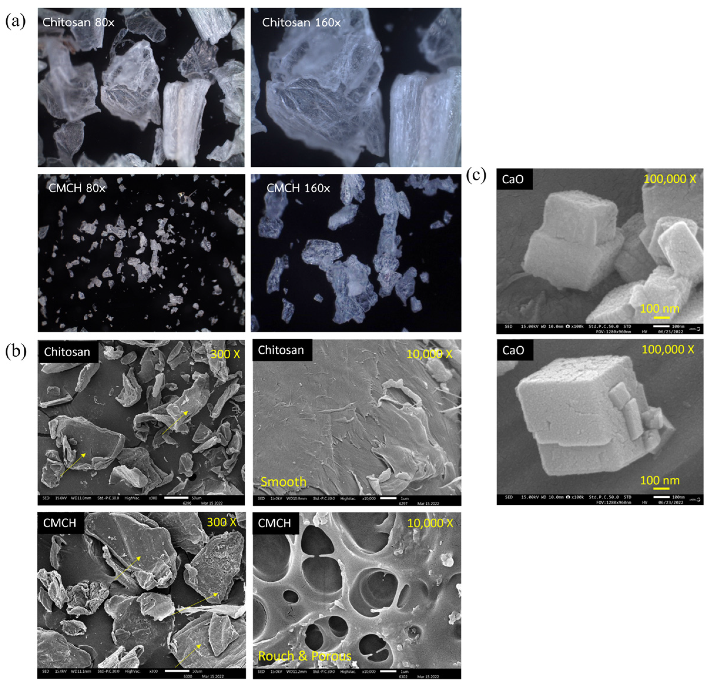 Polymers 16 02393 g003