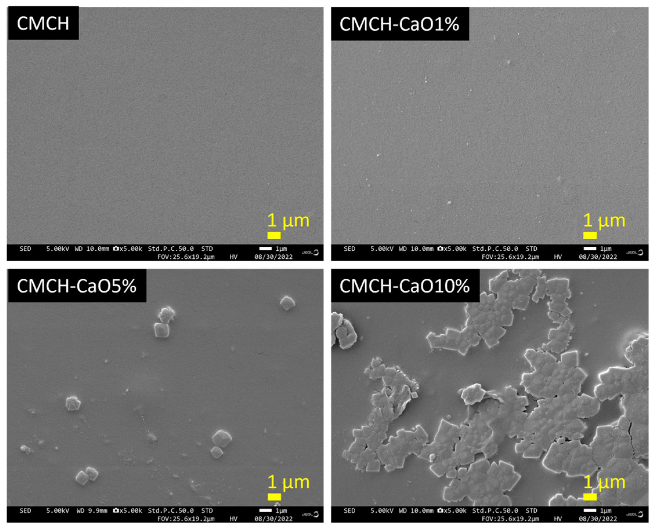Polymers 16 02393 g006