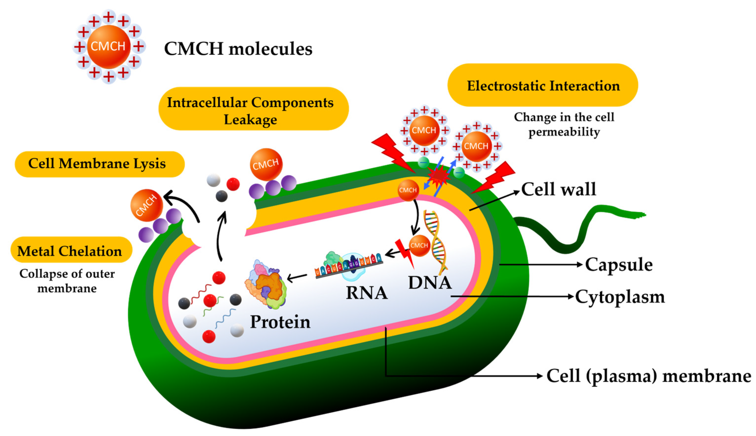 Polymers 16 02393 g009