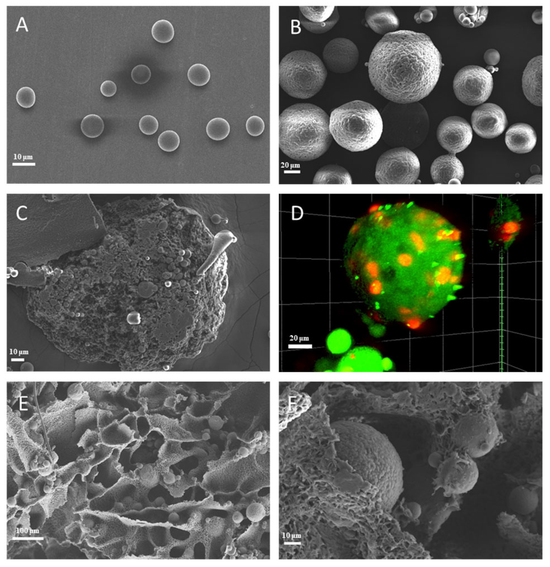 Polymers 16 02394 g001