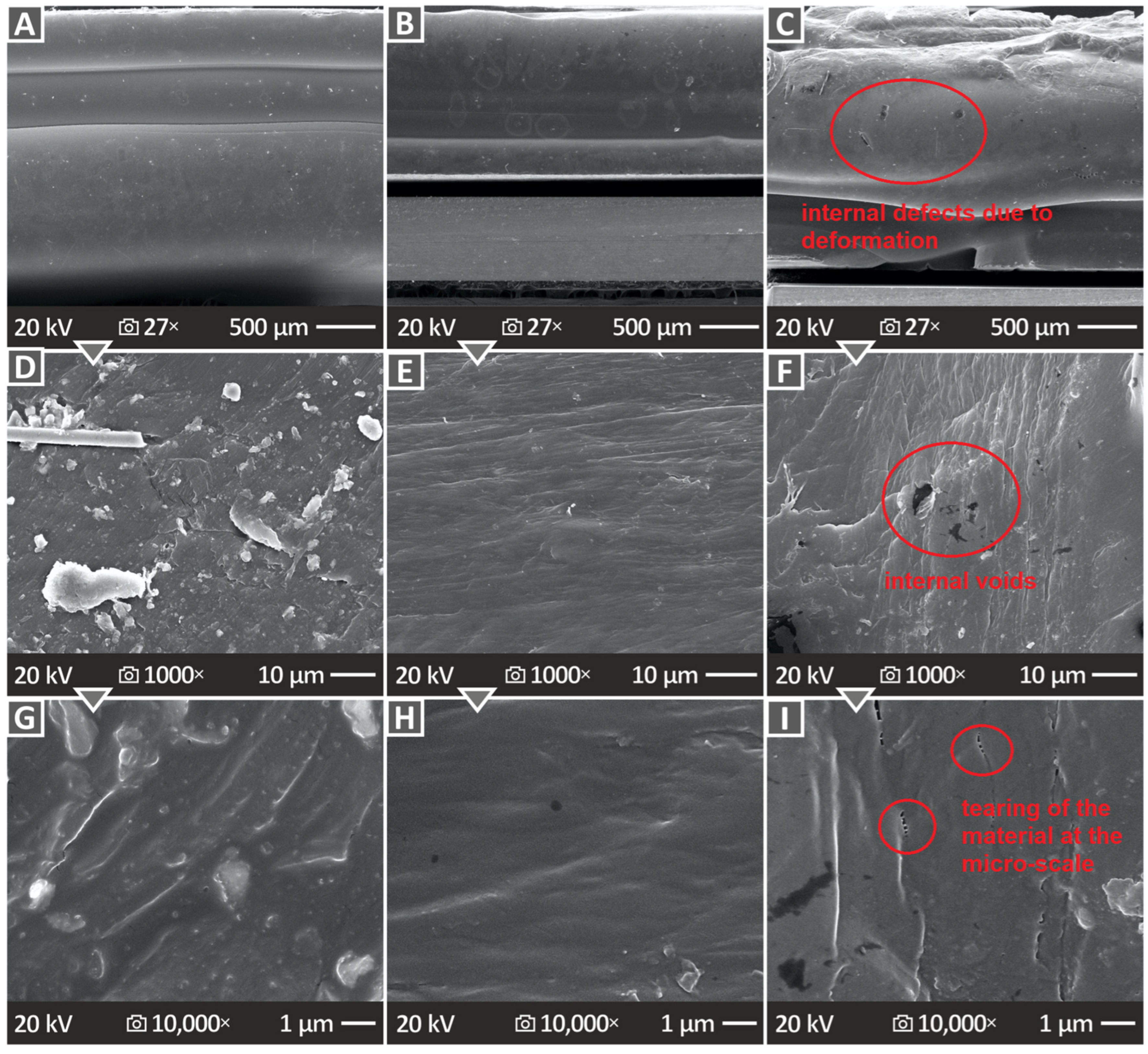 Polymers 16 02400 g012