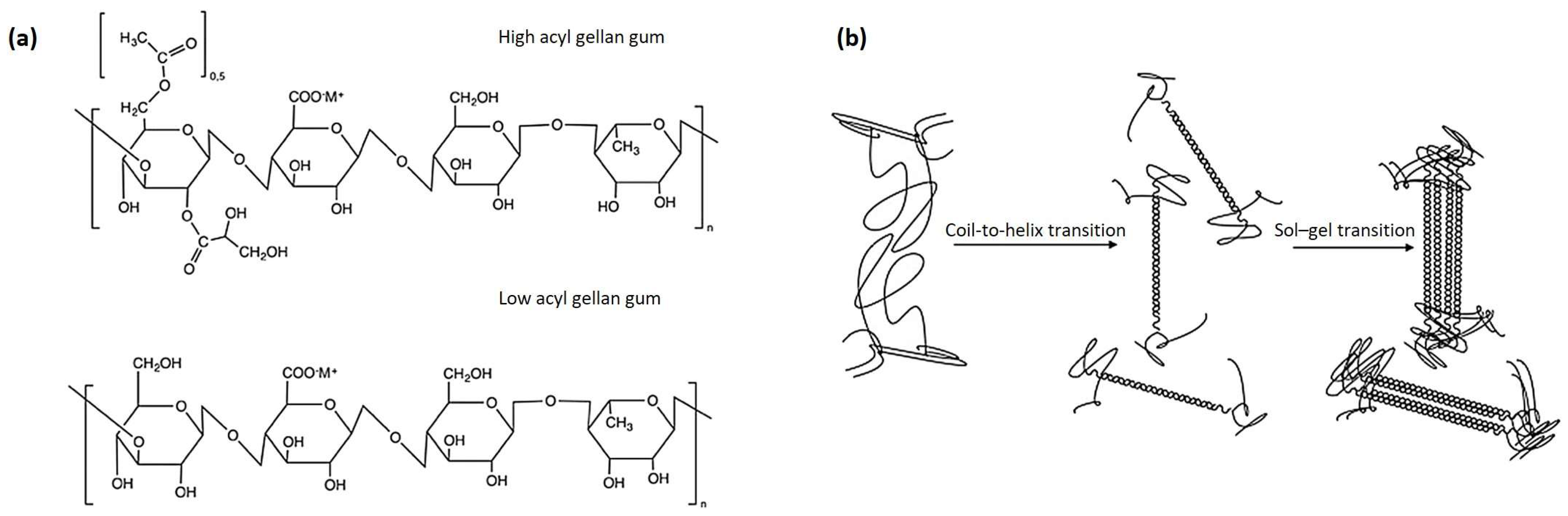 Polymers 16 02402 g001