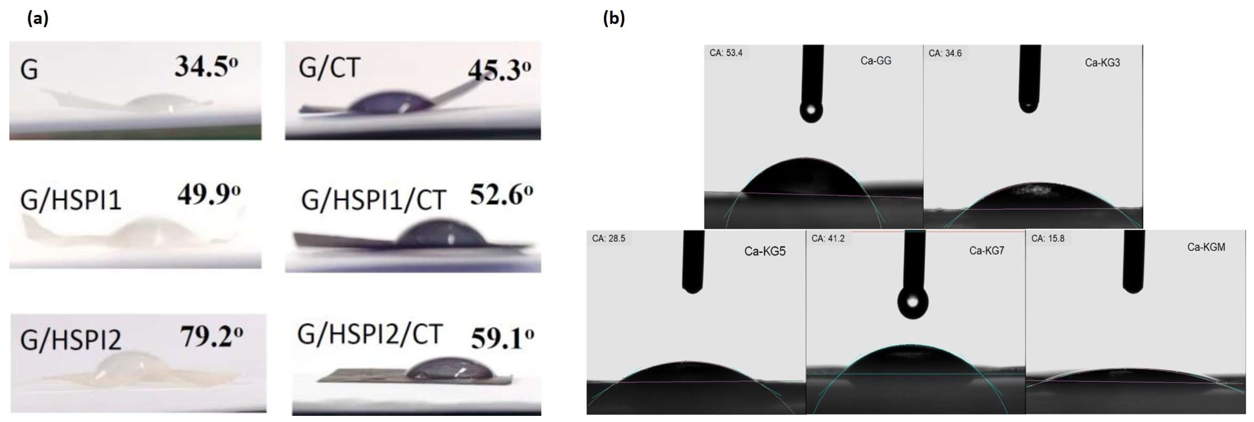 Polymers 16 02402 g005