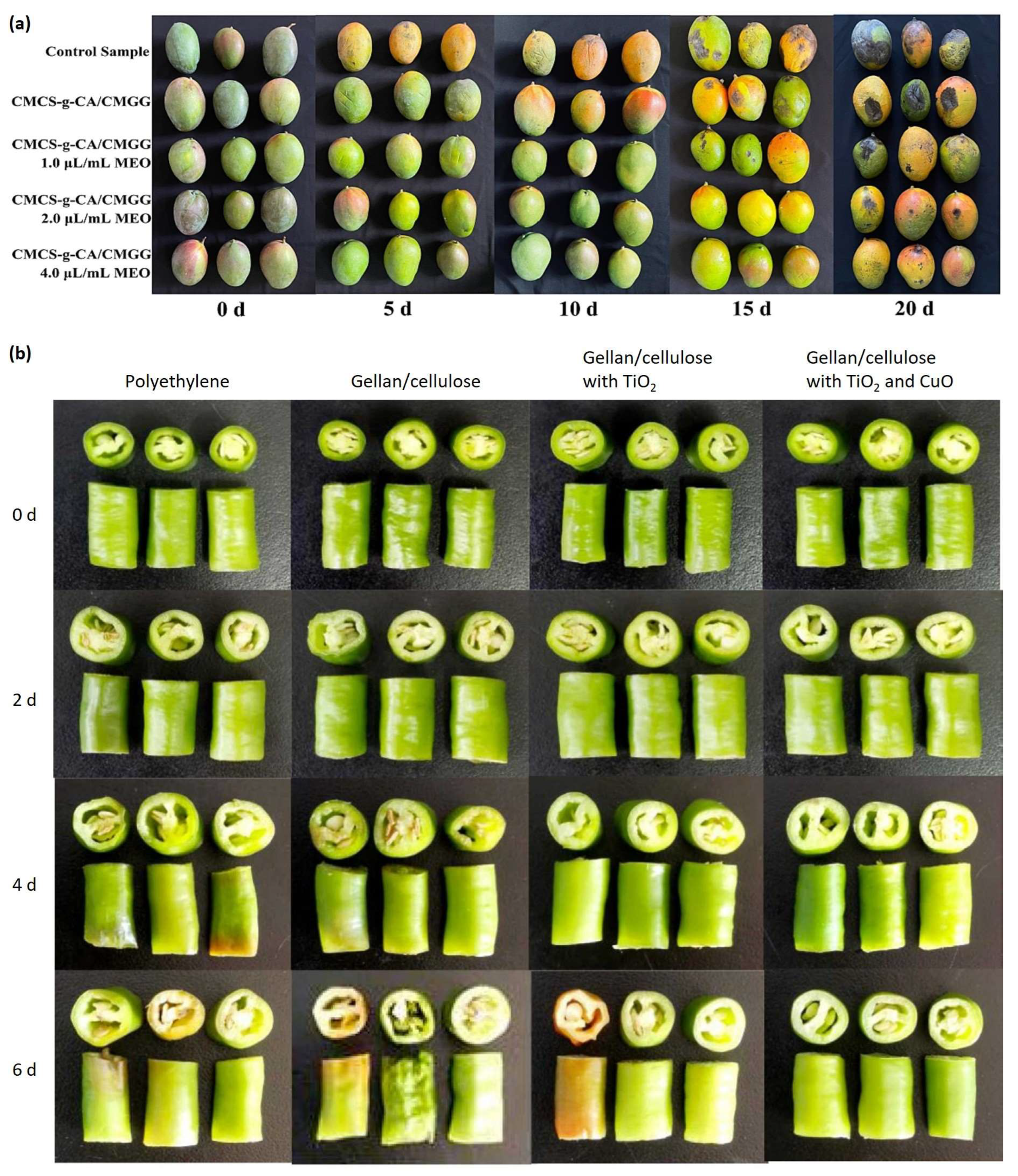 Polymers 16 02402 g008