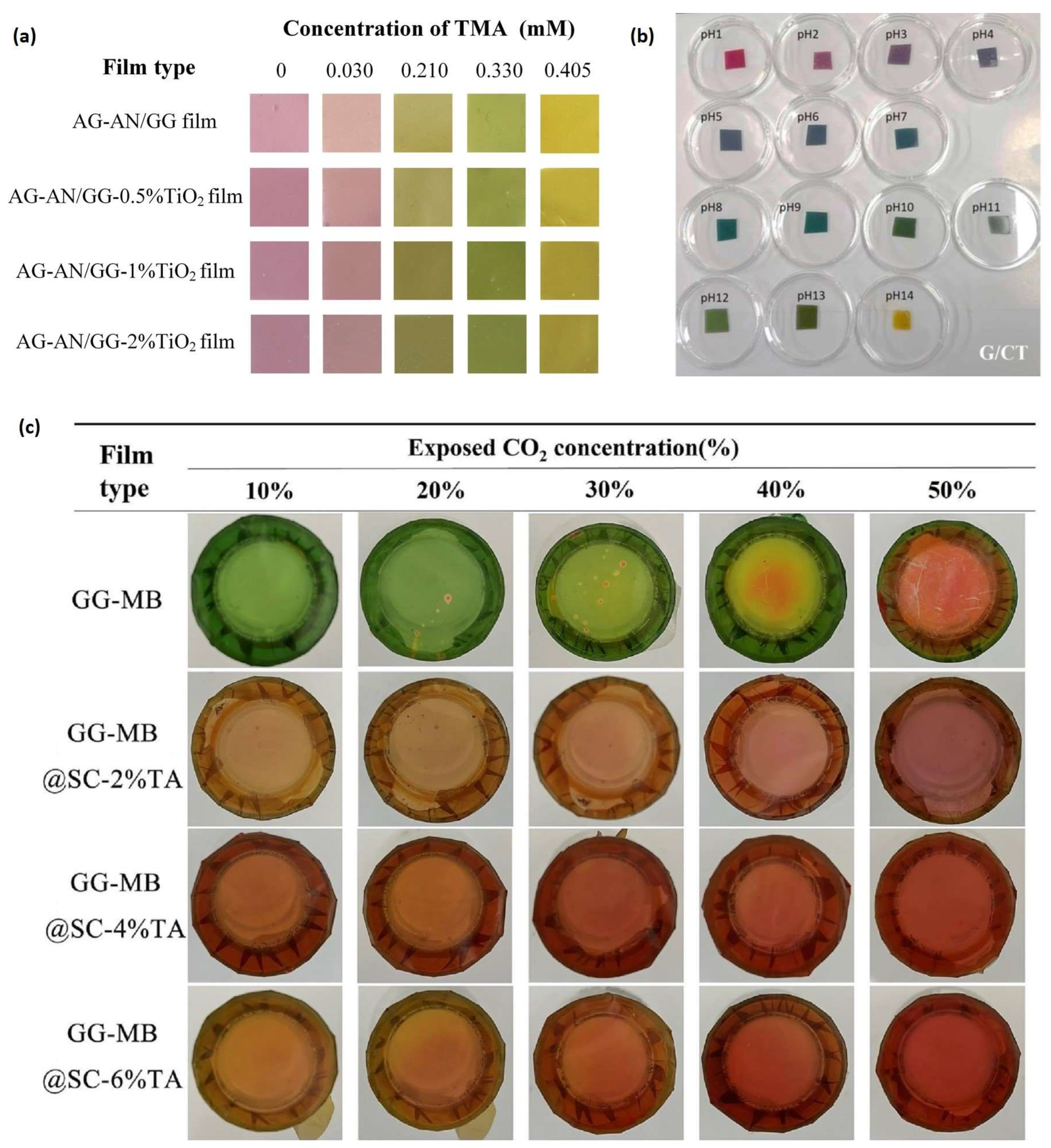 Polymers 16 02402 g011