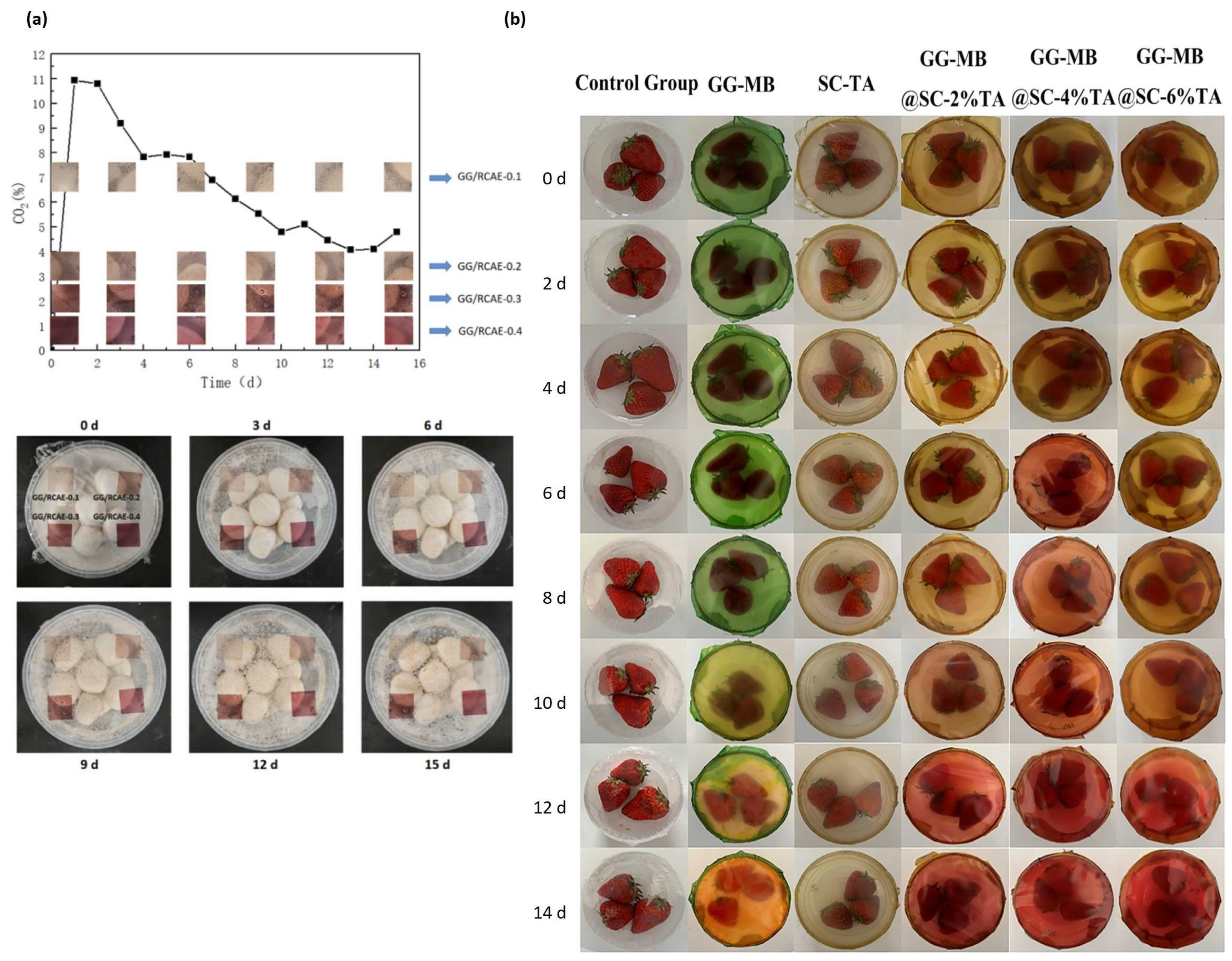 Polymers 16 02402 g014
