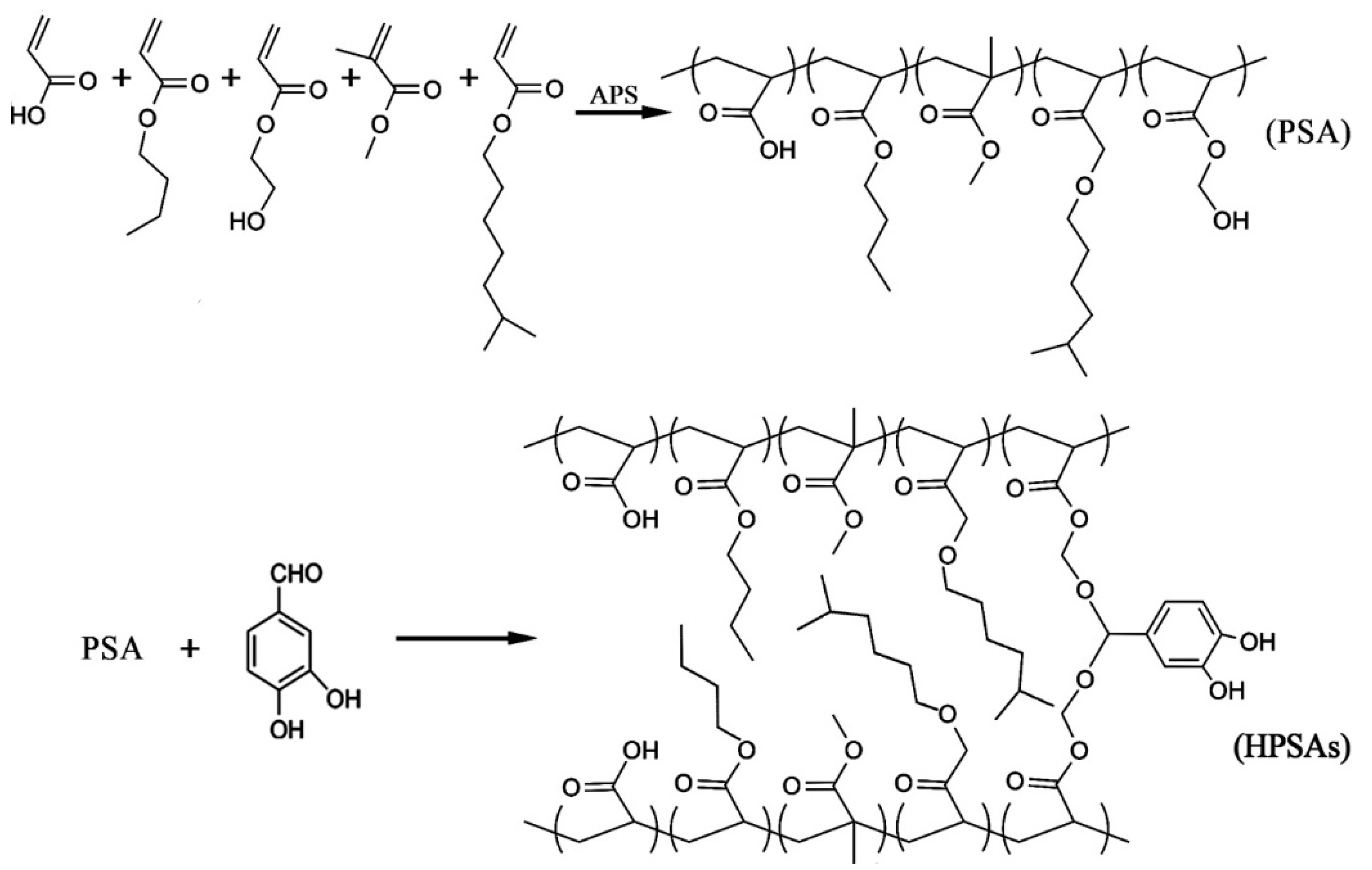 Polymers 16 02404 g002
