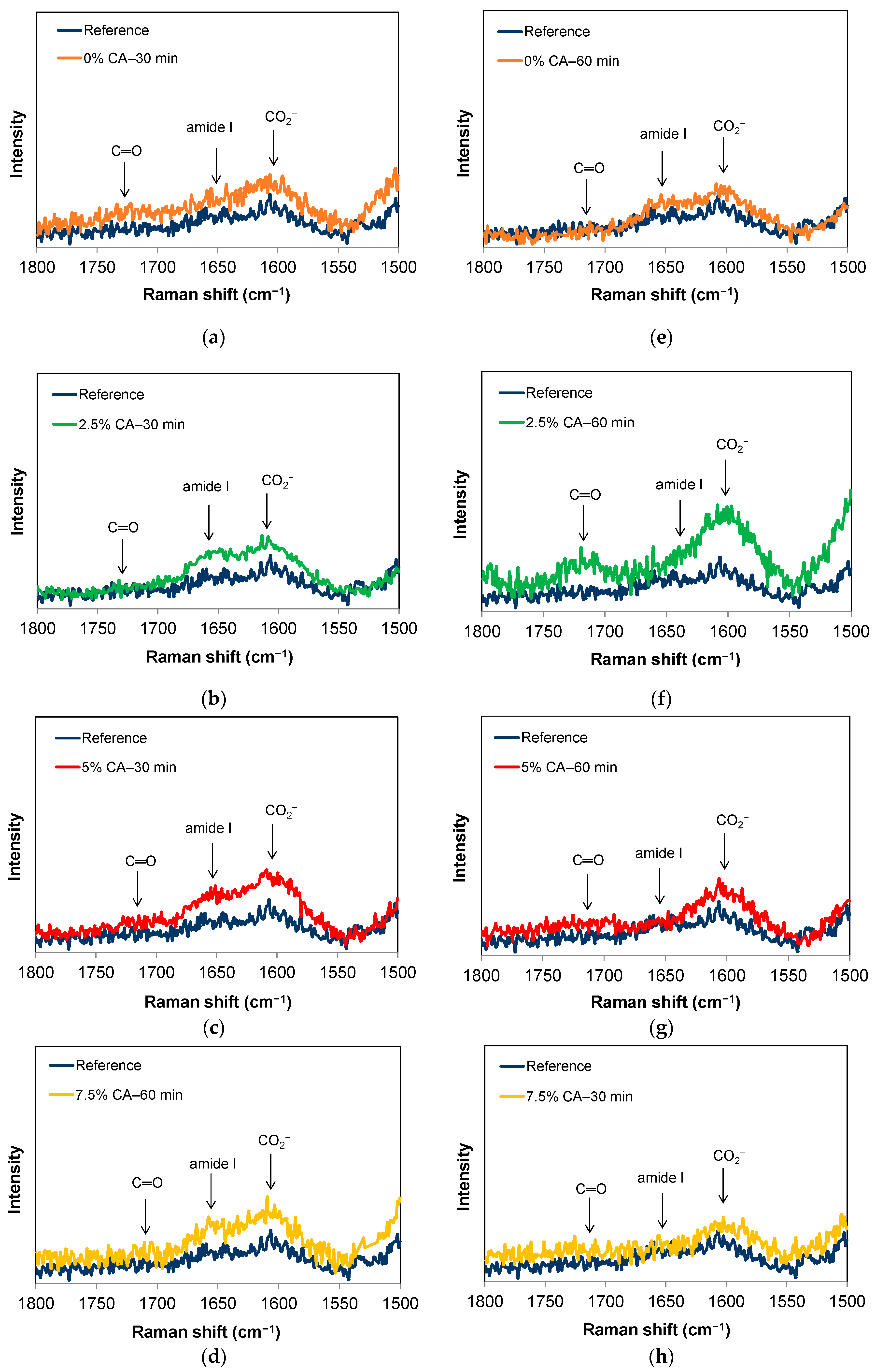 Polymers 16 02407 g005