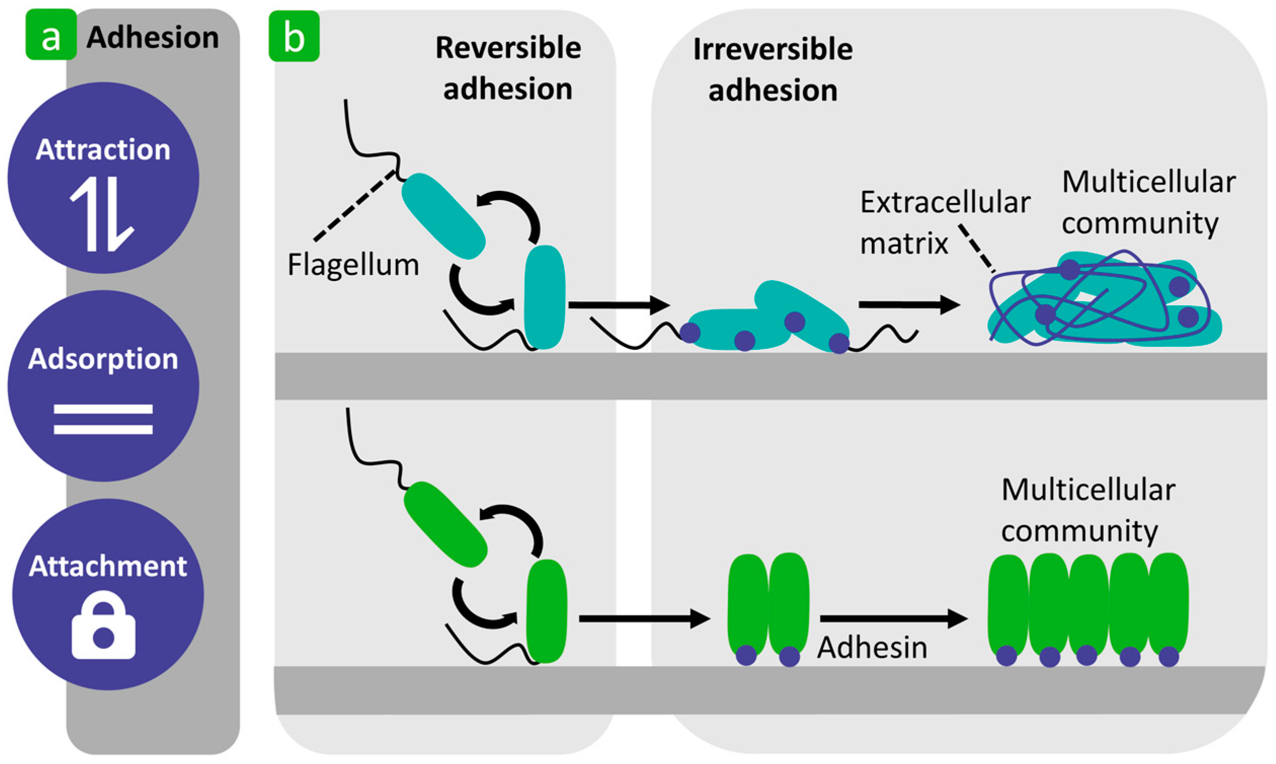 Polymers 16 02409 g003 Polymers 16 02409 g003