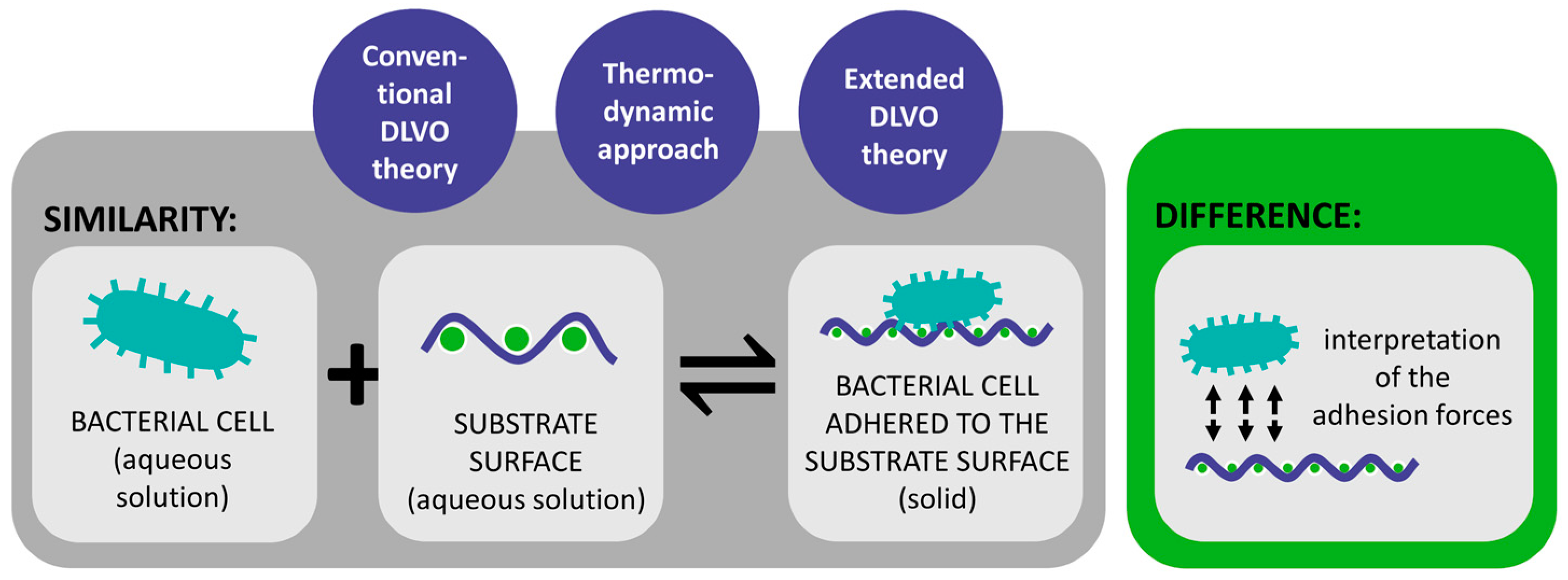 Polymers 16 02409 g004 Polymers 16 02409 g004