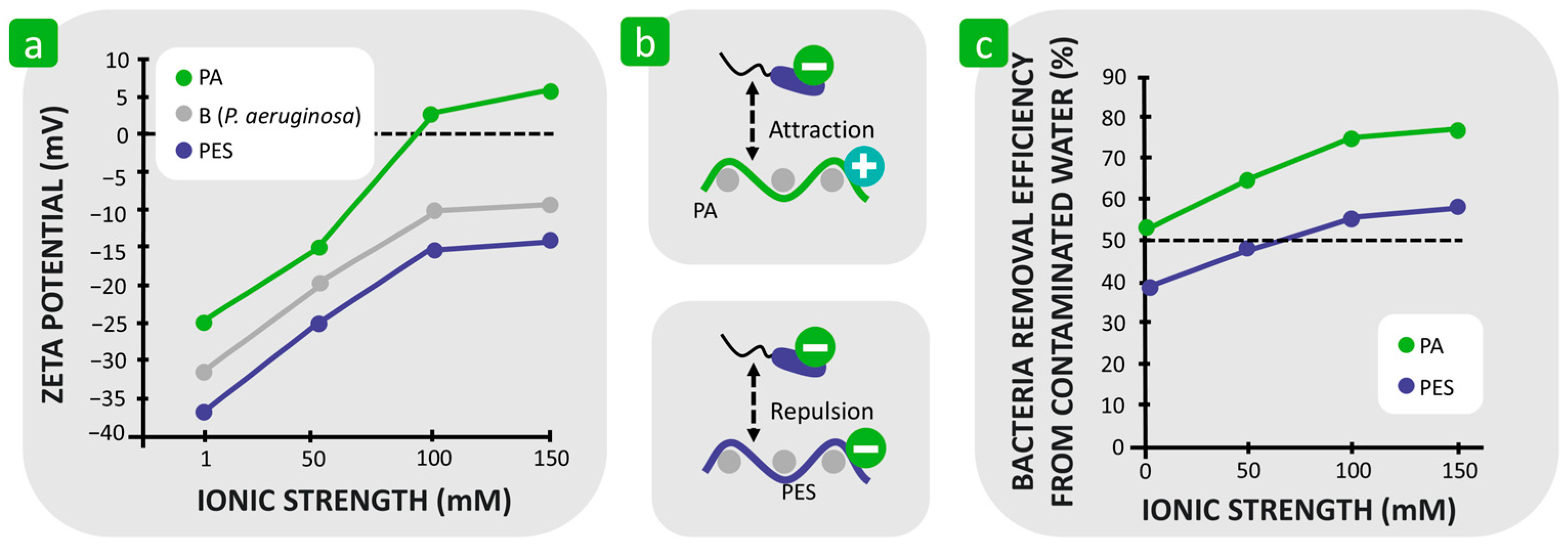 Polymers 16 02409 g013 Polymers 16 02409 g013