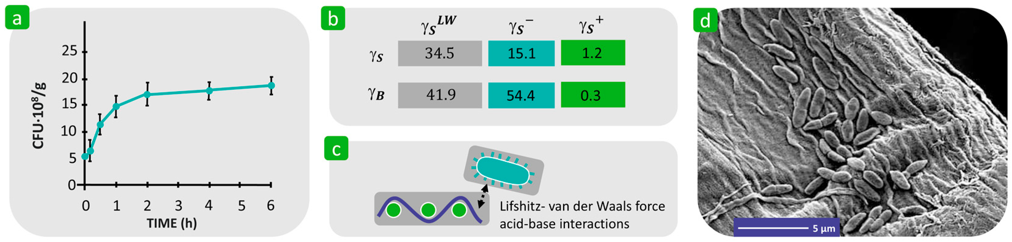 Polymers 16 02409 g014 Polymers 16 02409 g014