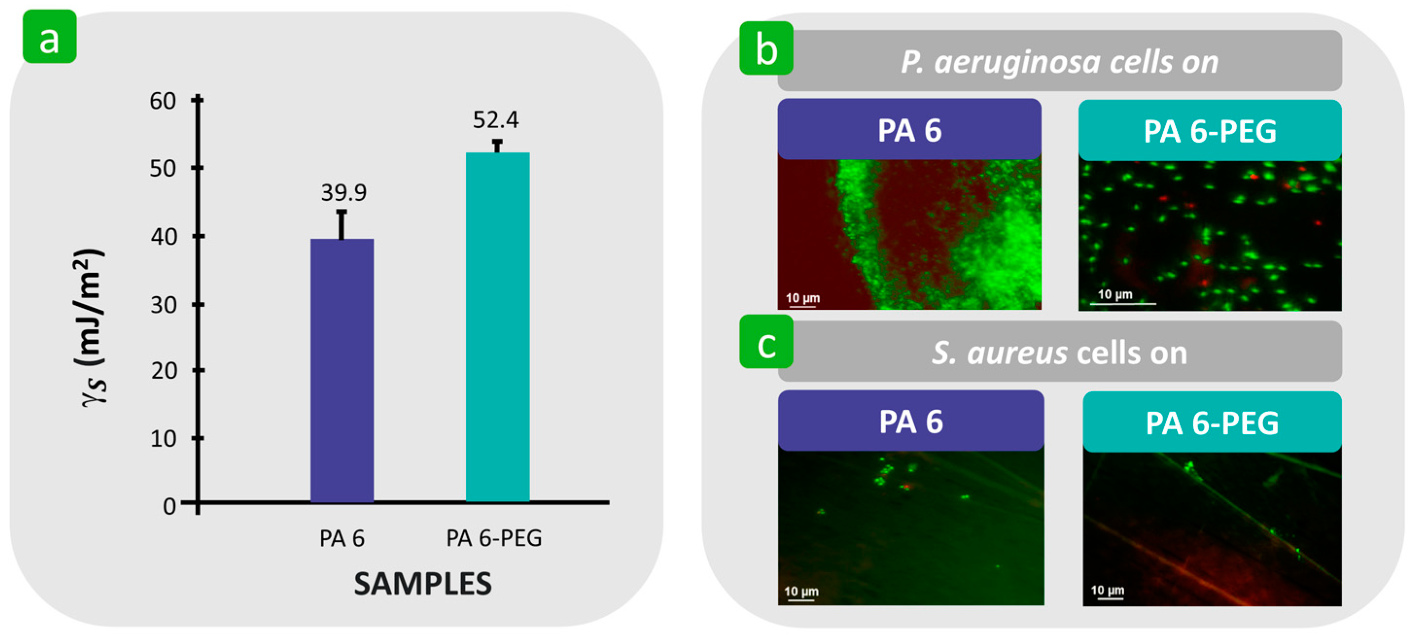 Polymers 16 02409 g015 Polymers 16 02409 g015