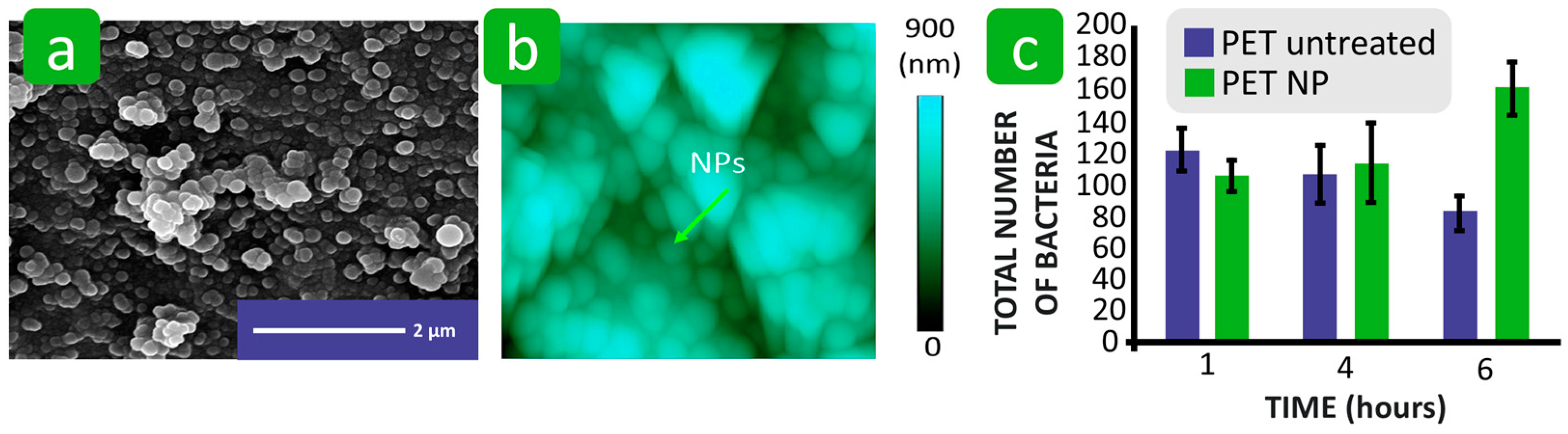 Polymers 16 02409 g022 Polymers 16 02409 g022