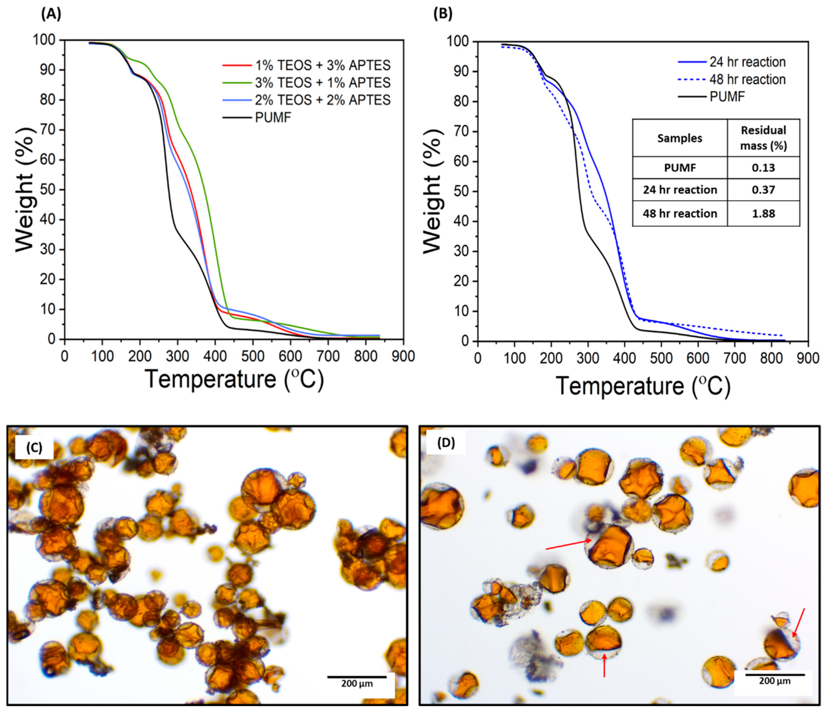 Polymers 16 02410 g003