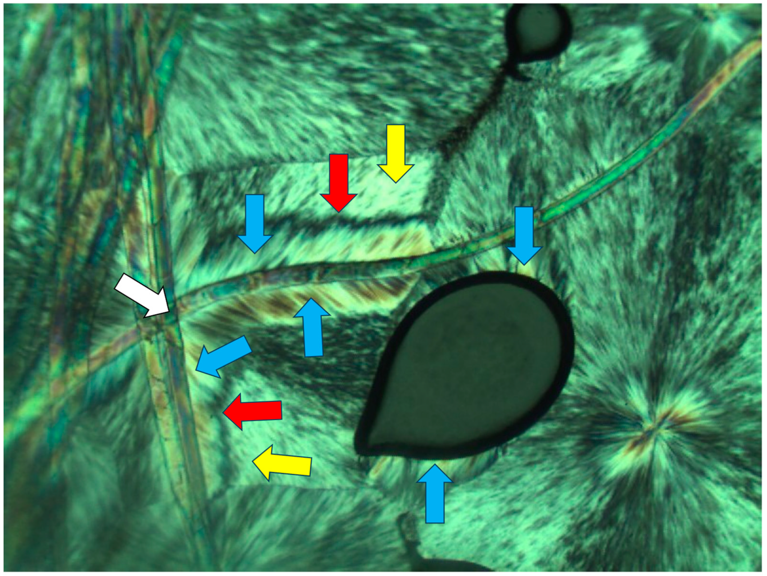 Polymers 16 02411 g003