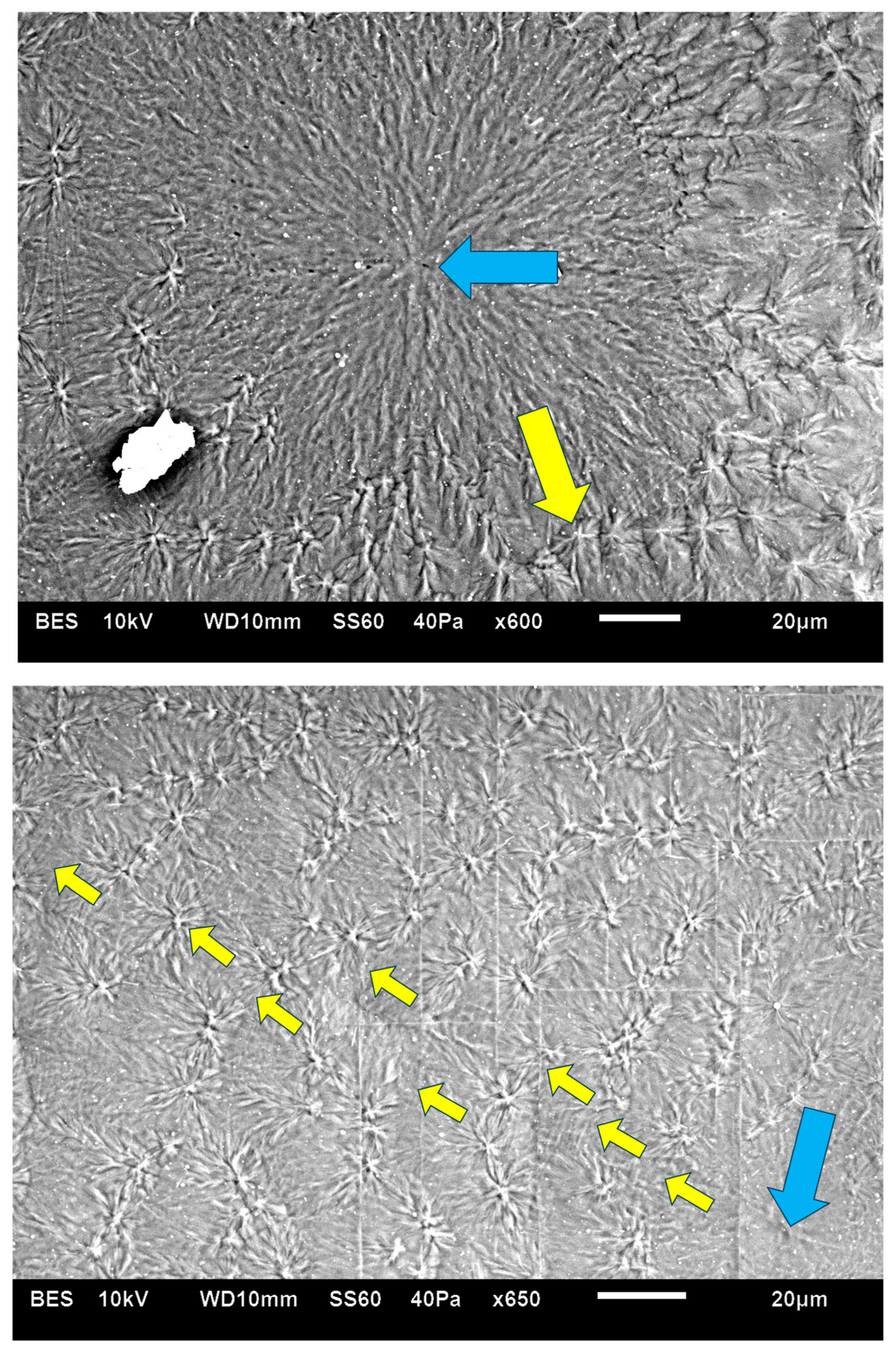 Polymers 16 02411 g008