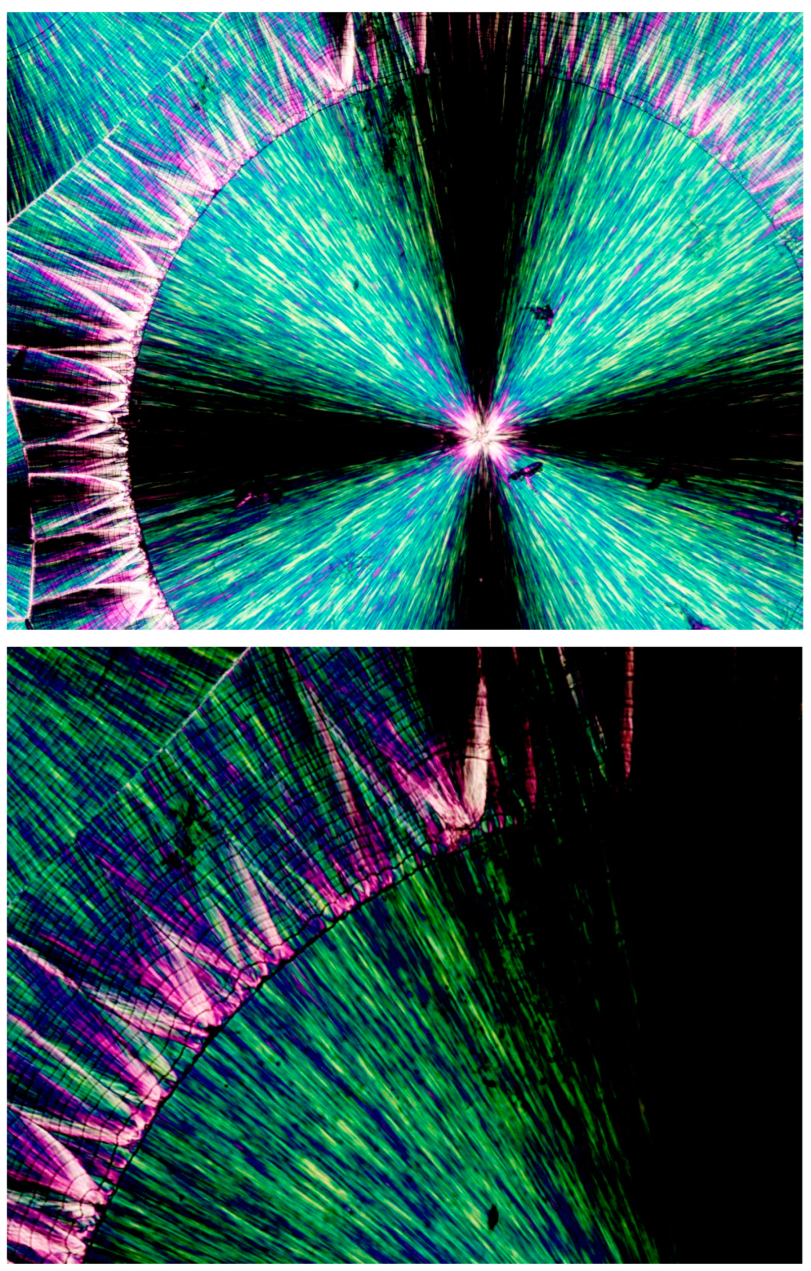 Polymers 16 02411 g012