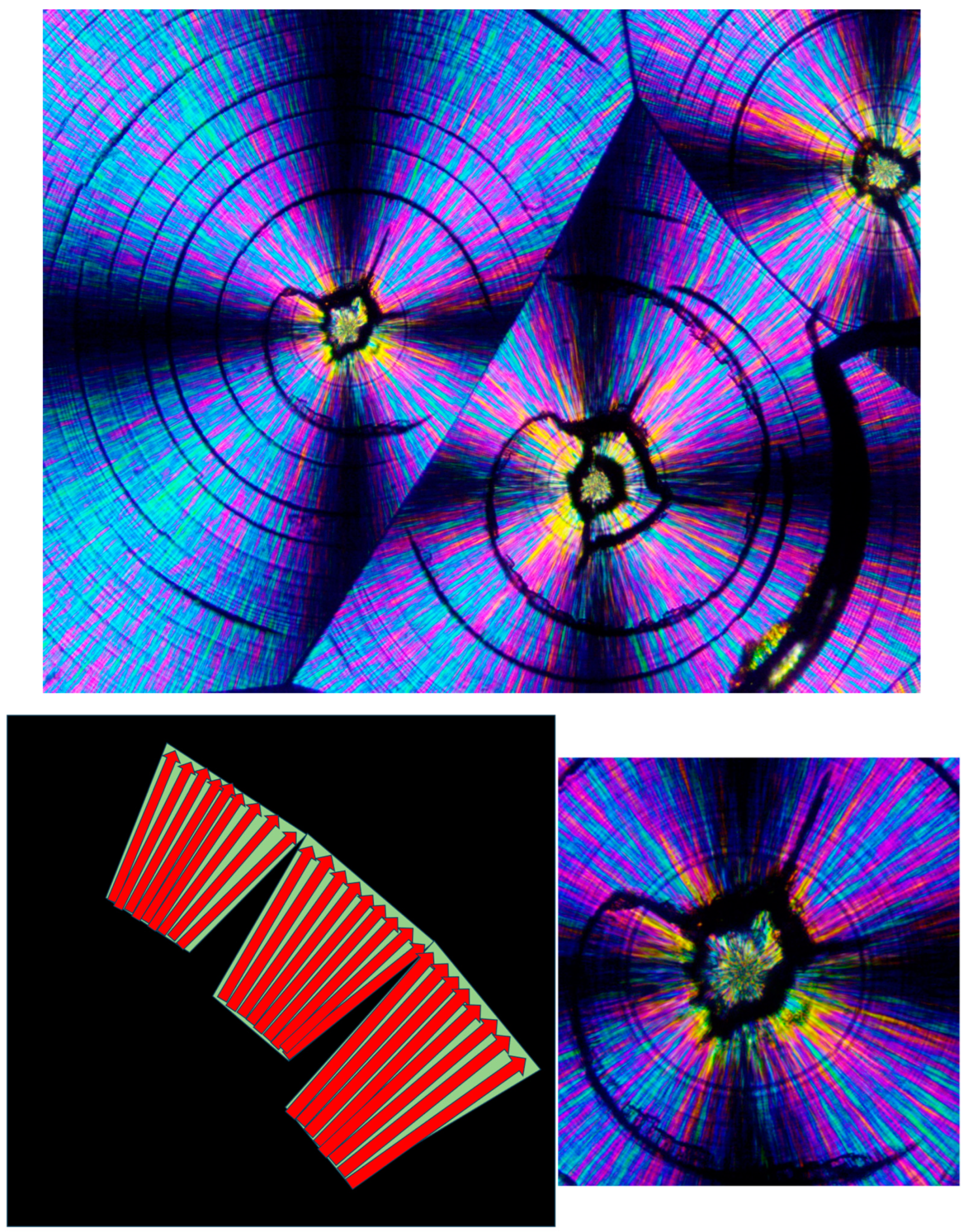 Polymers 16 02411 g016