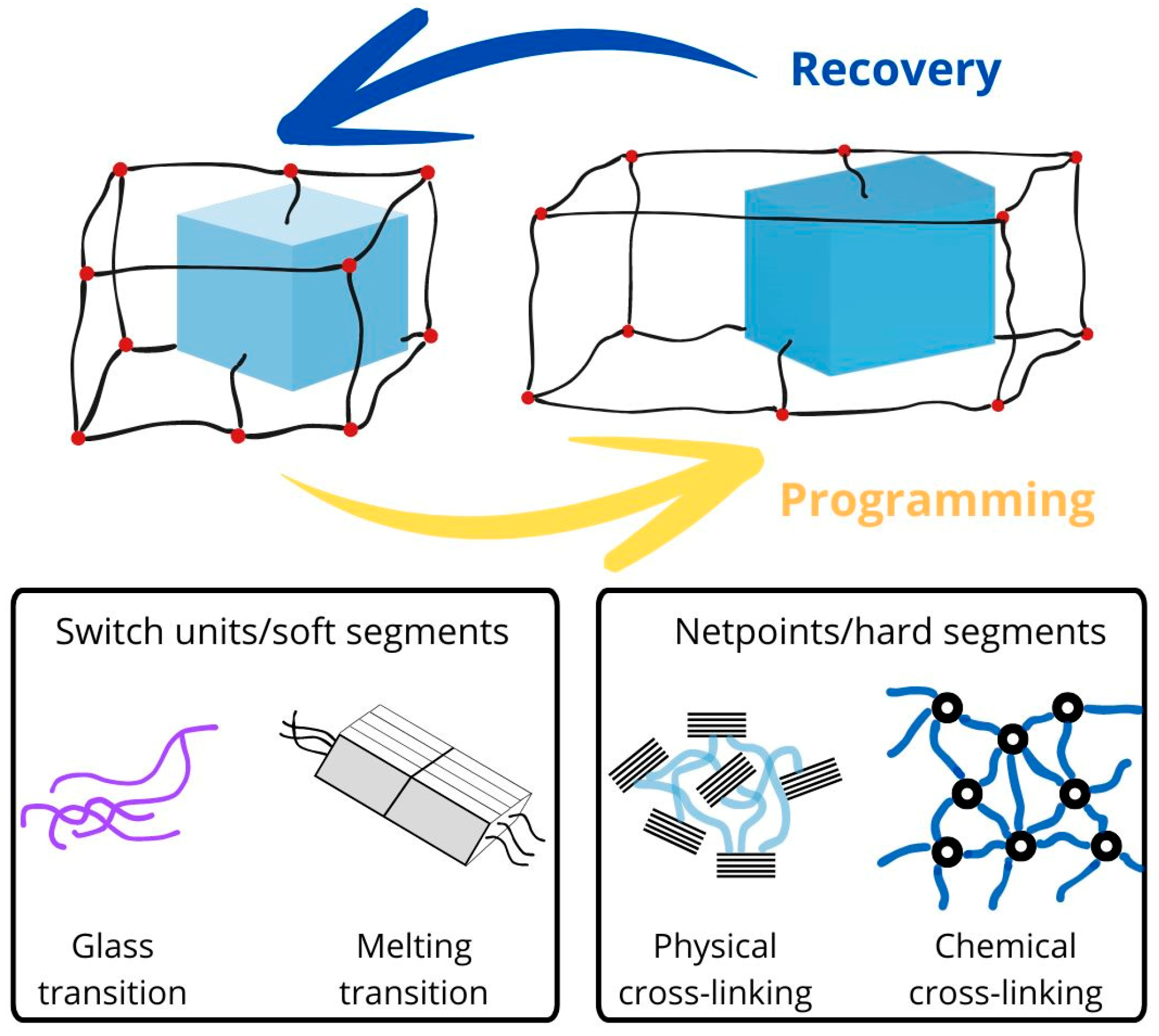 Polymers 16 02413 g001