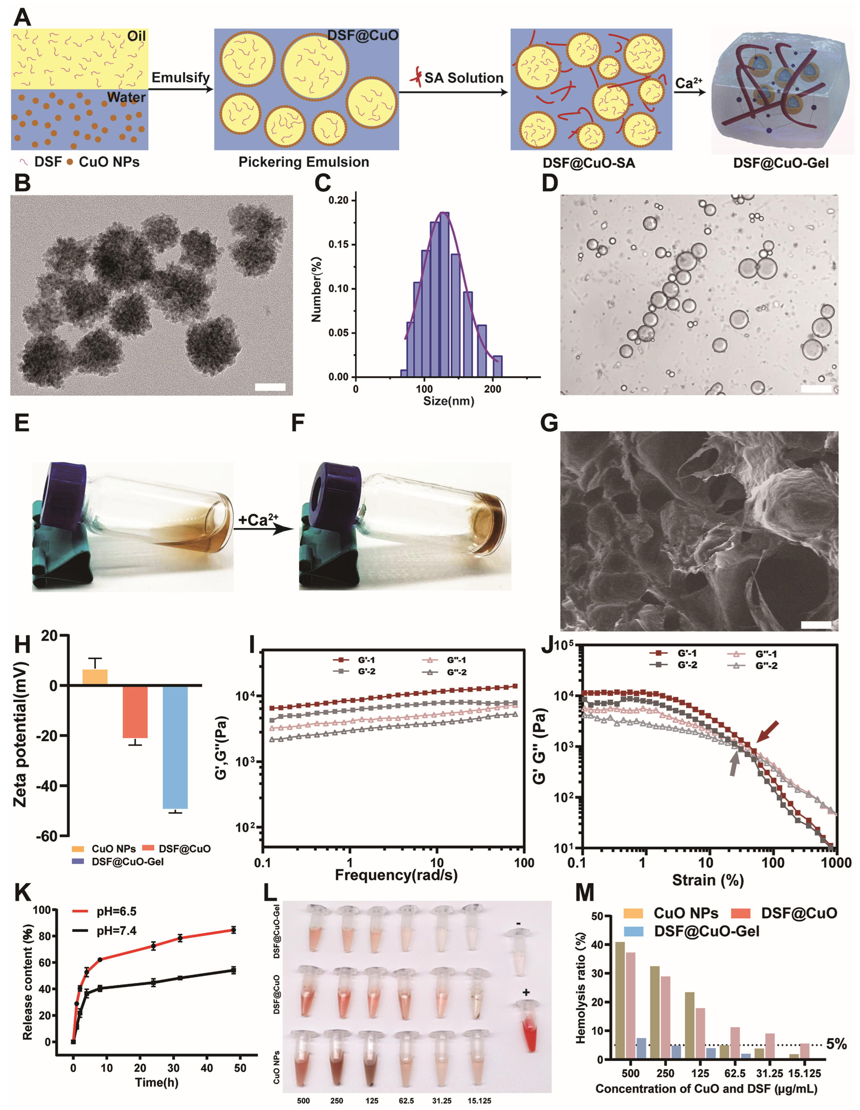 Polymers 16 02418 g001
