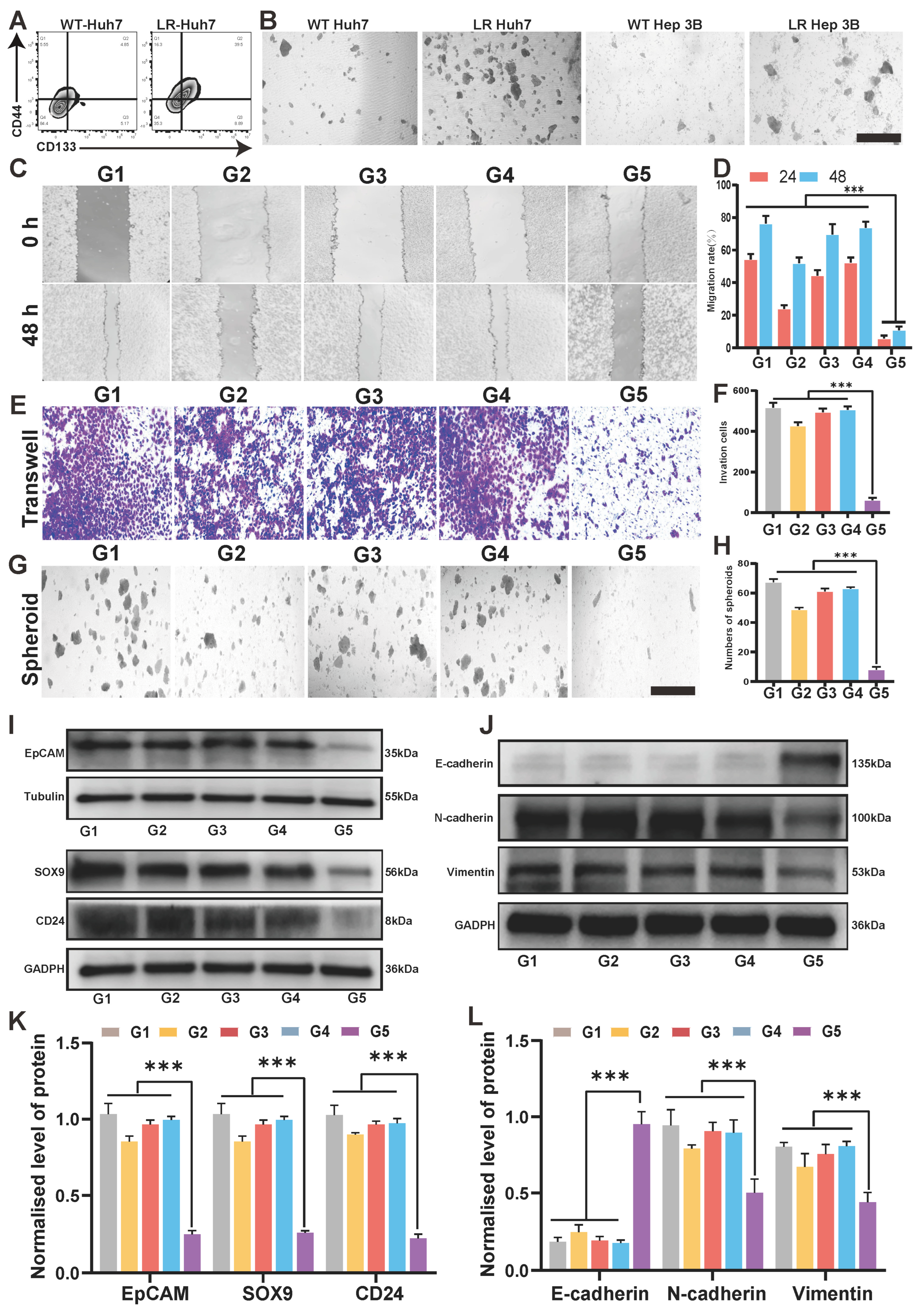 Polymers 16 02418 g004