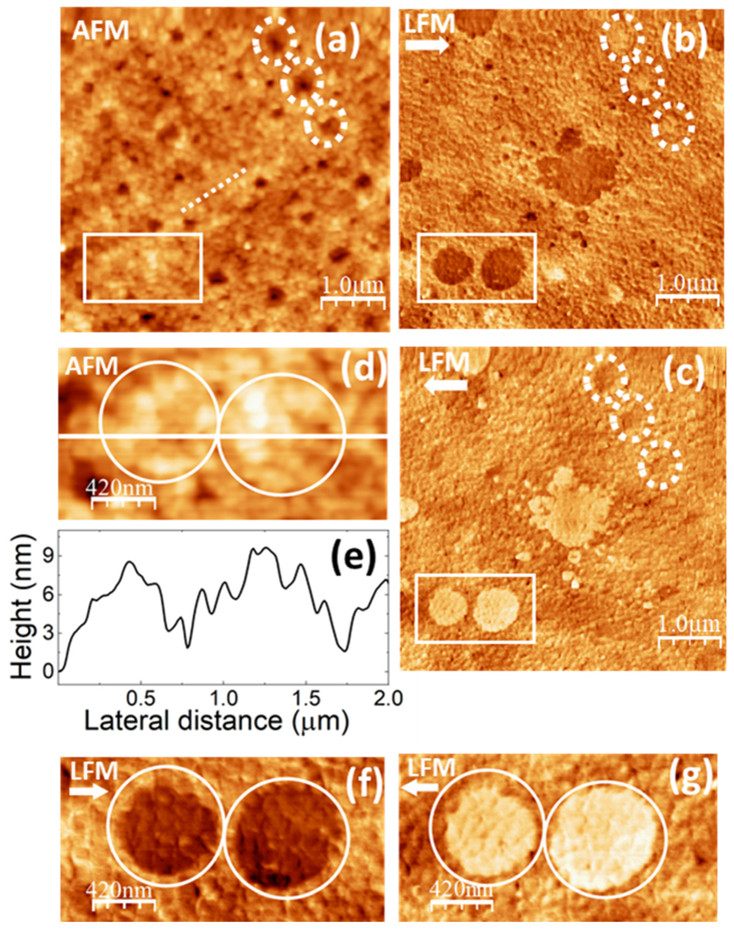 Polymers 16 02421 g007