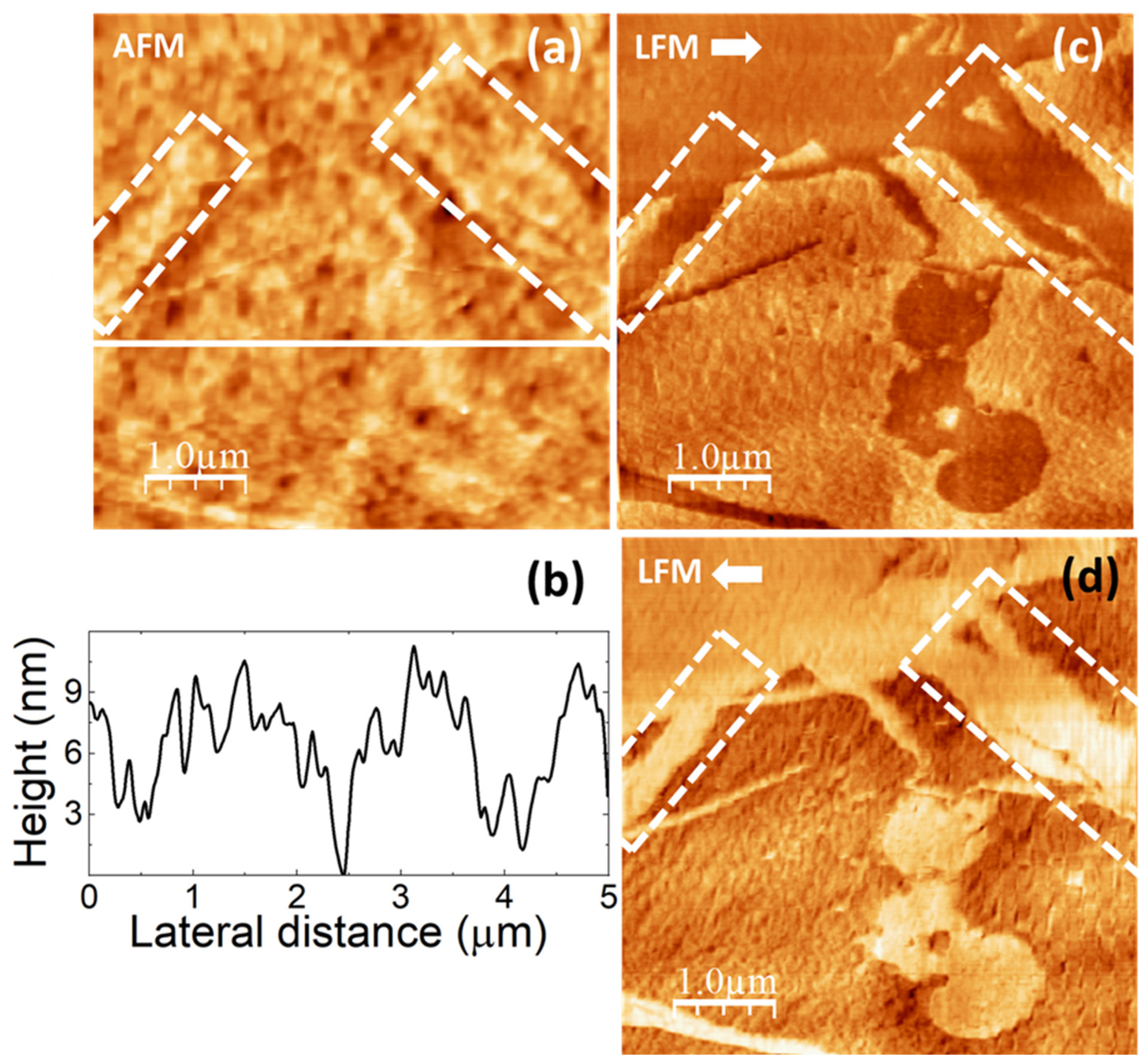 Polymers 16 02421 g009
