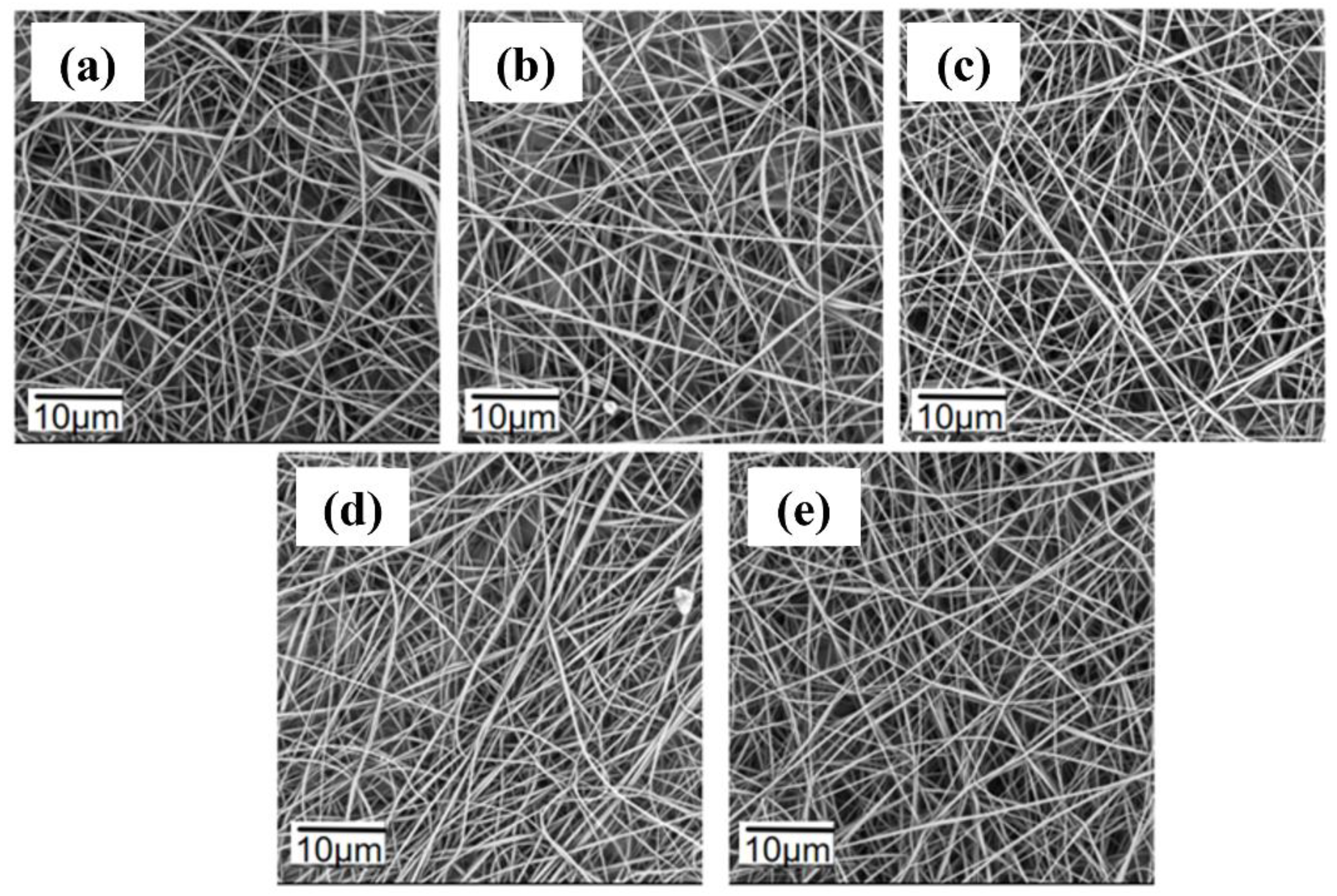 Polymers 16 02423 g005