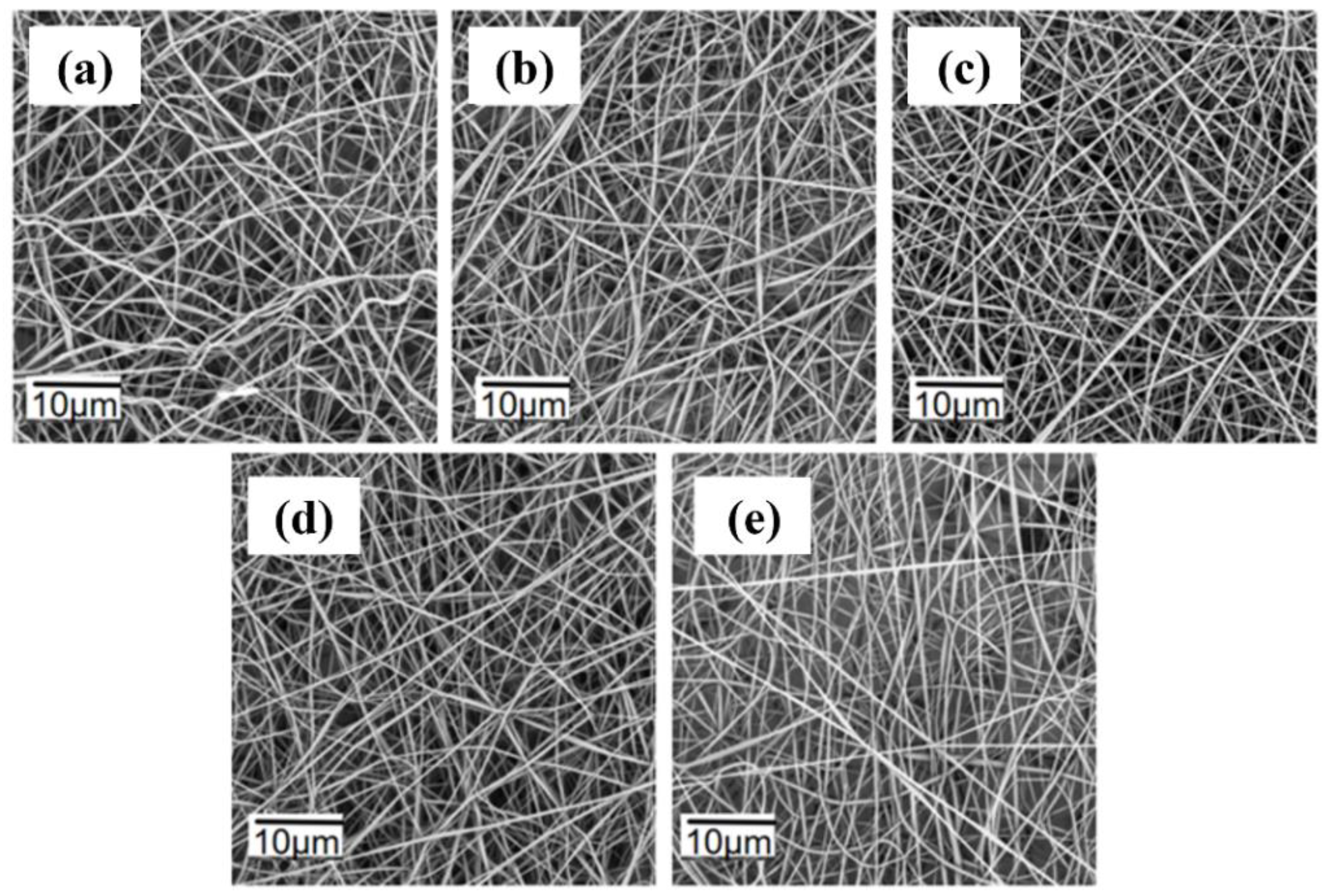 Polymers 16 02423 g006