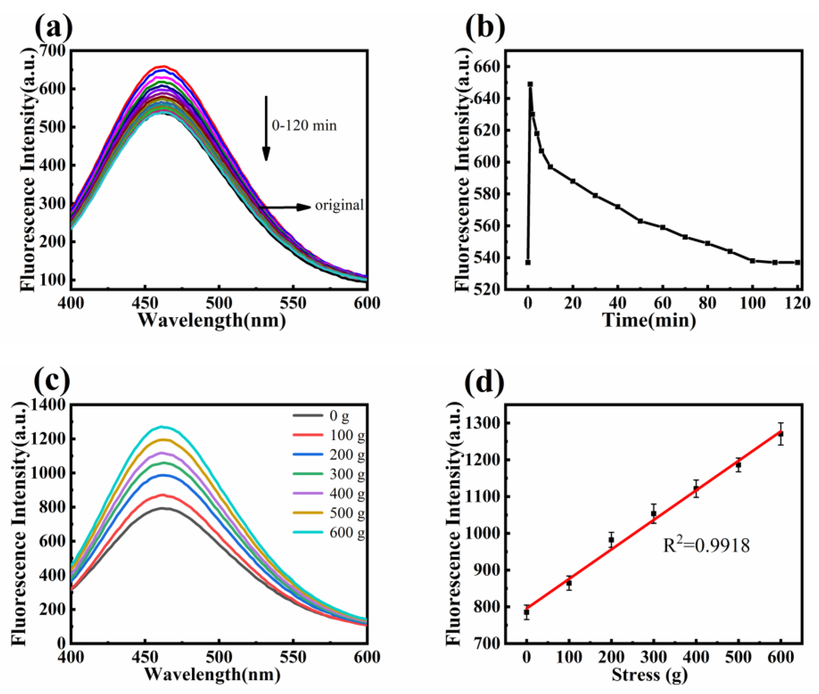Polymers 16 02423 g011