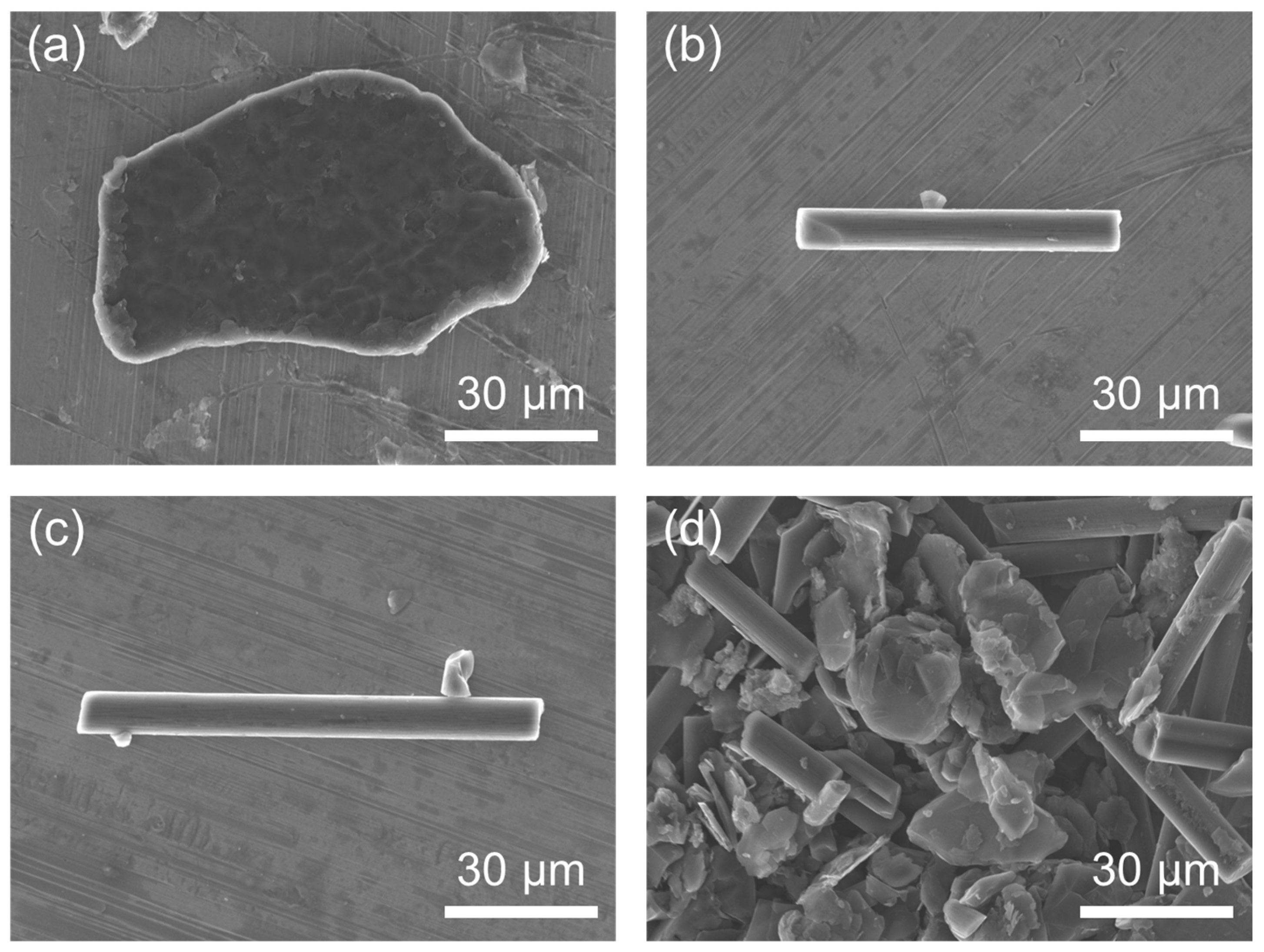 Polymers 16 02425 g002