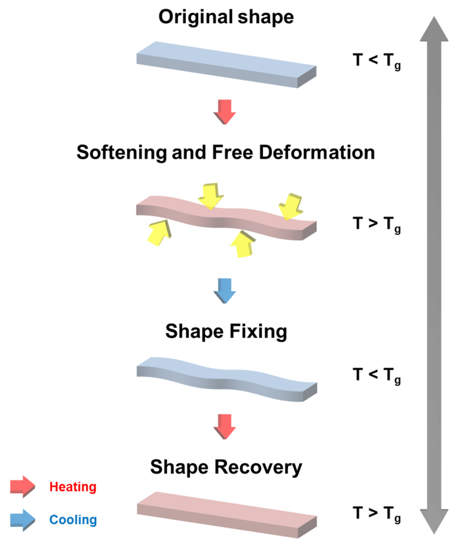 Polymers 16 02425 g004