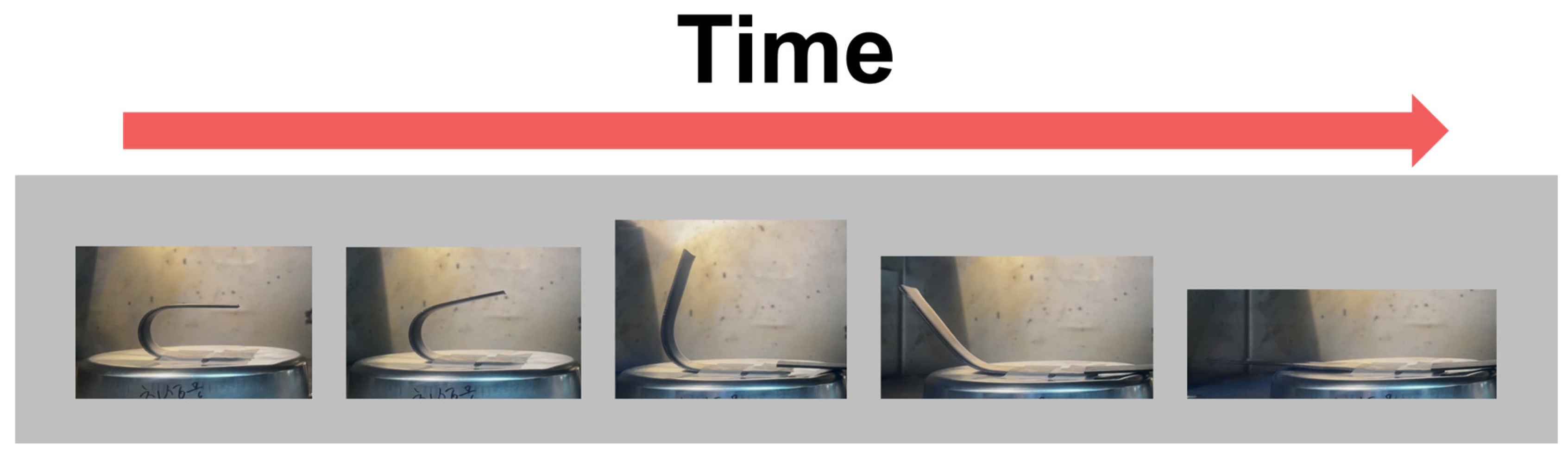 Polymers 16 02425 g005