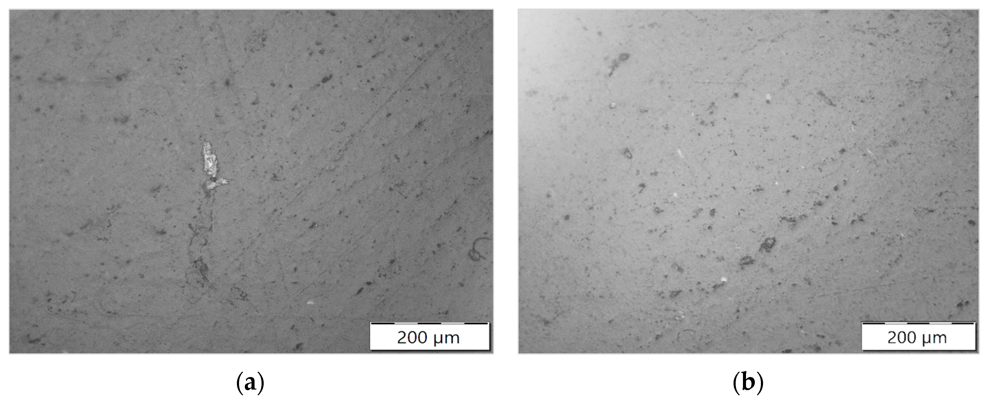 Polymers 16 02426 g011