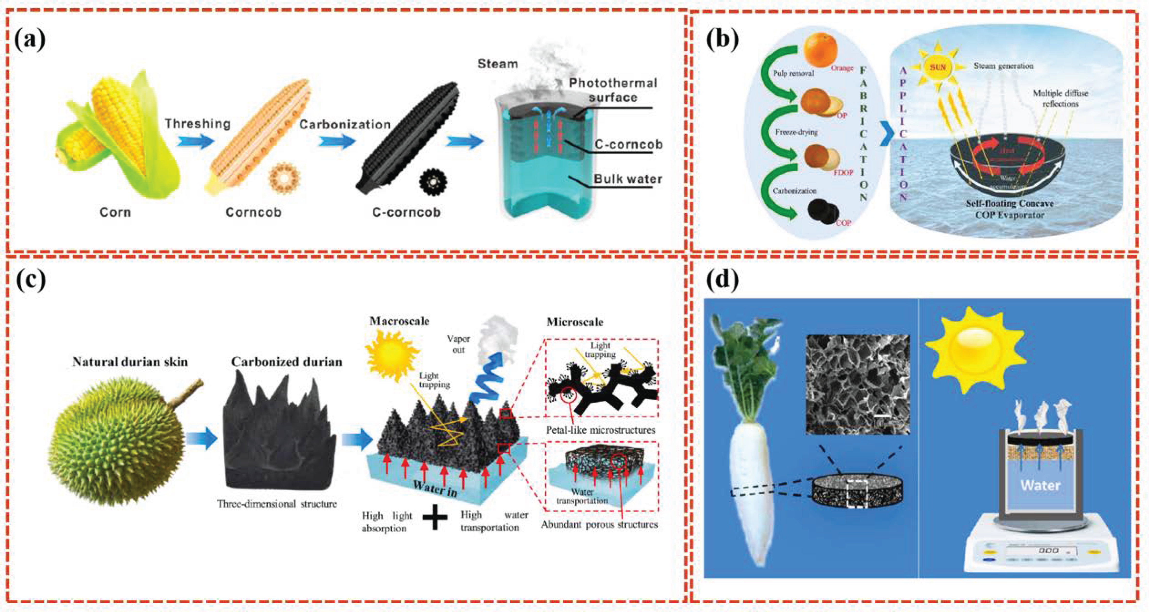 Polymers 16 02427 g007