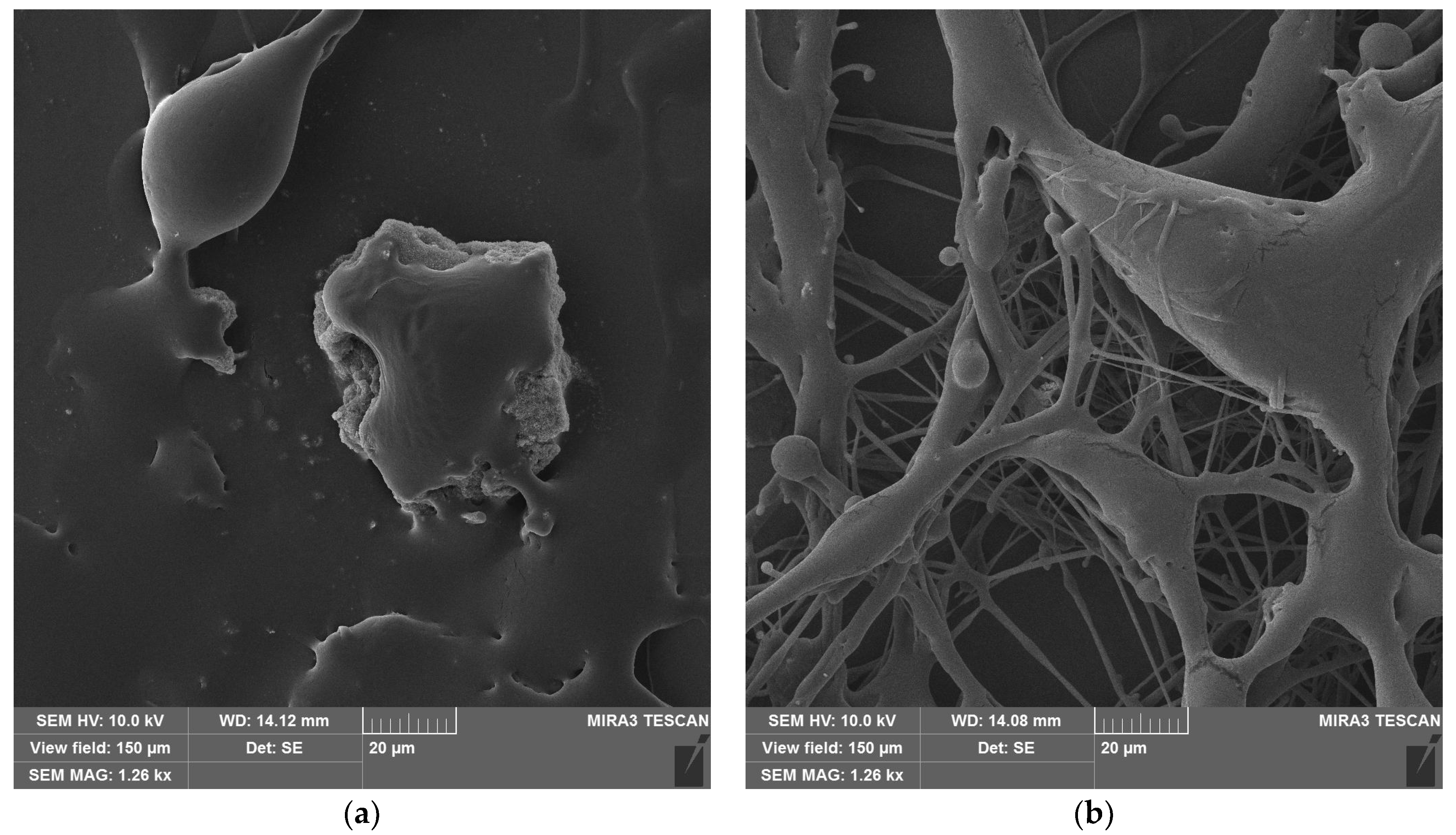 Polymers 16 02428 g006 Polymers 16 02428 g006