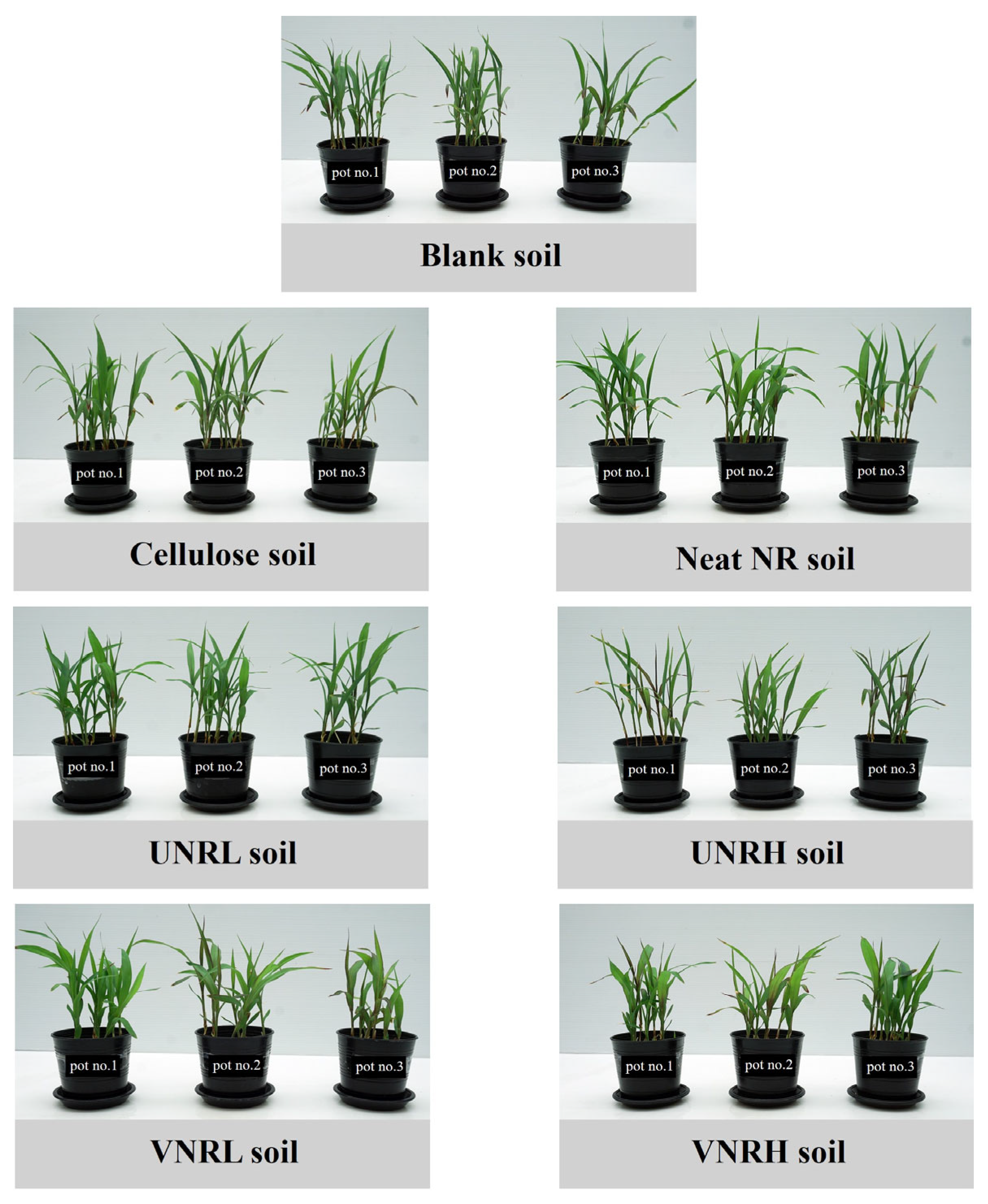 Polymers 16 02429 g004