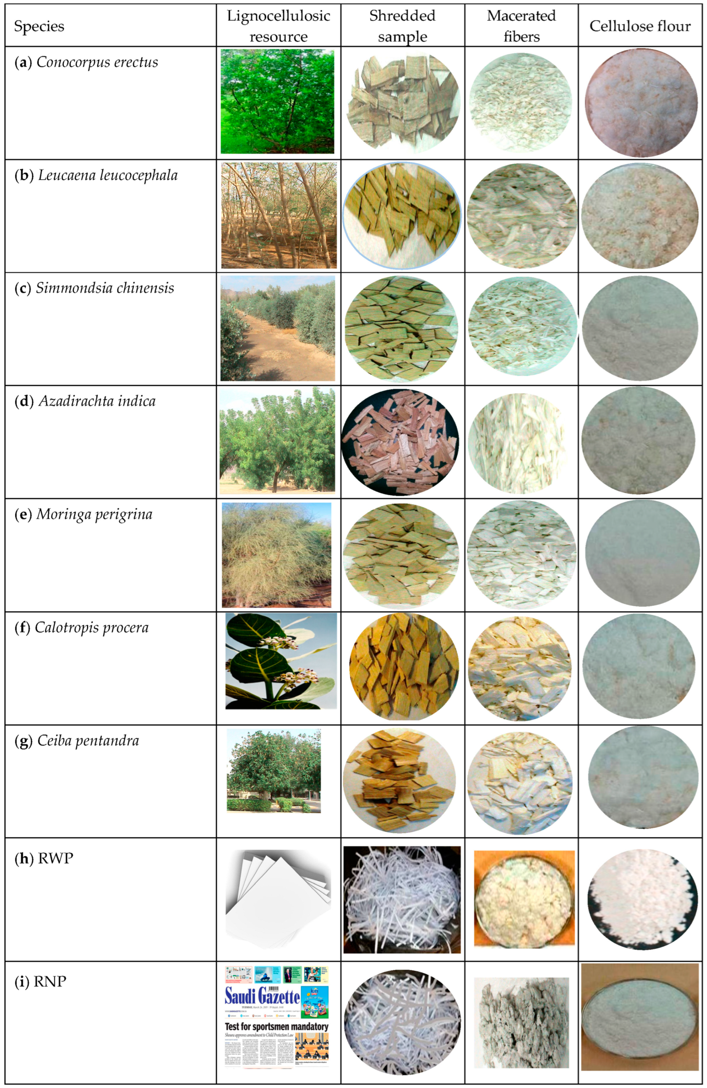 Polymers 16 02430 g001a