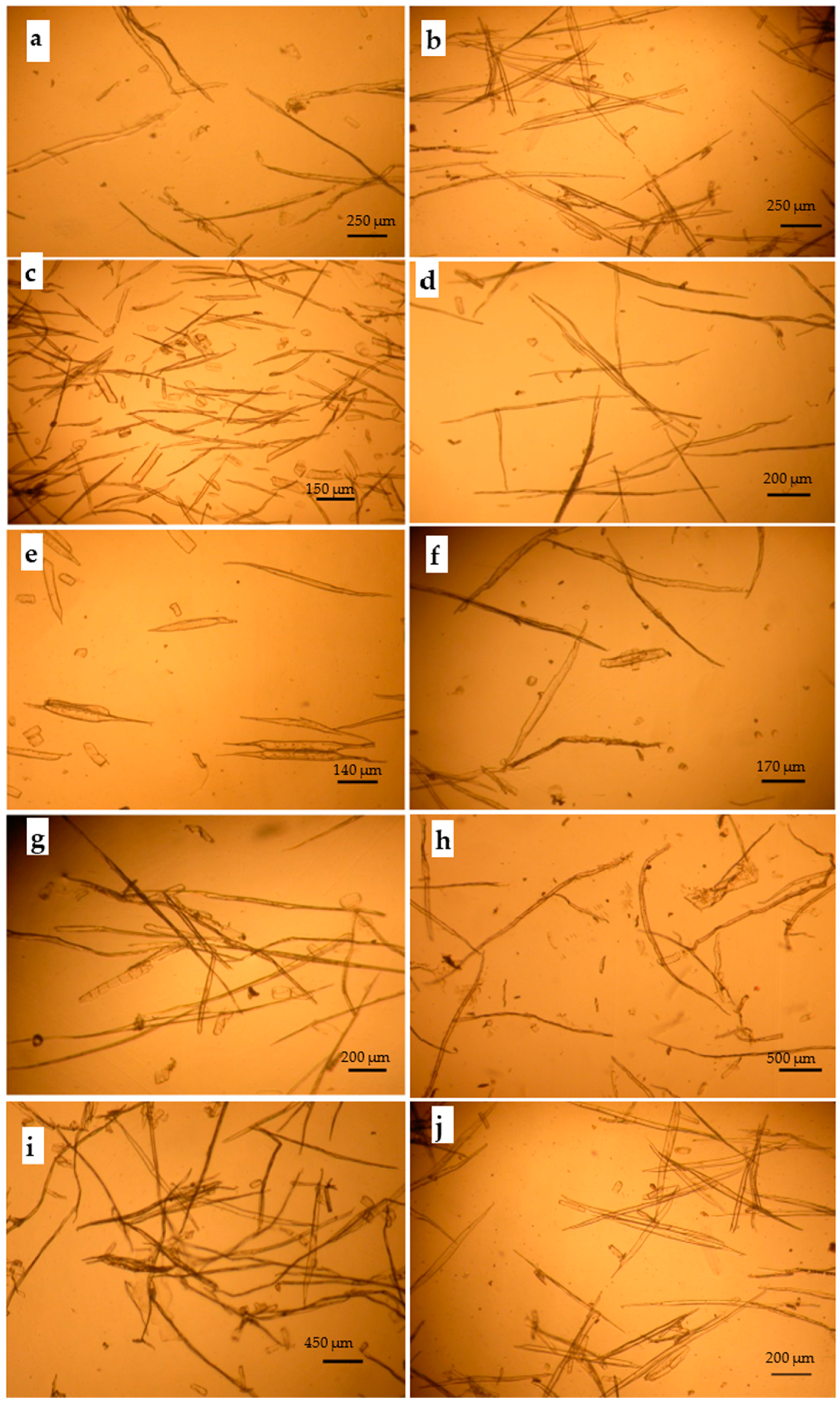 Polymers 16 02430 g005