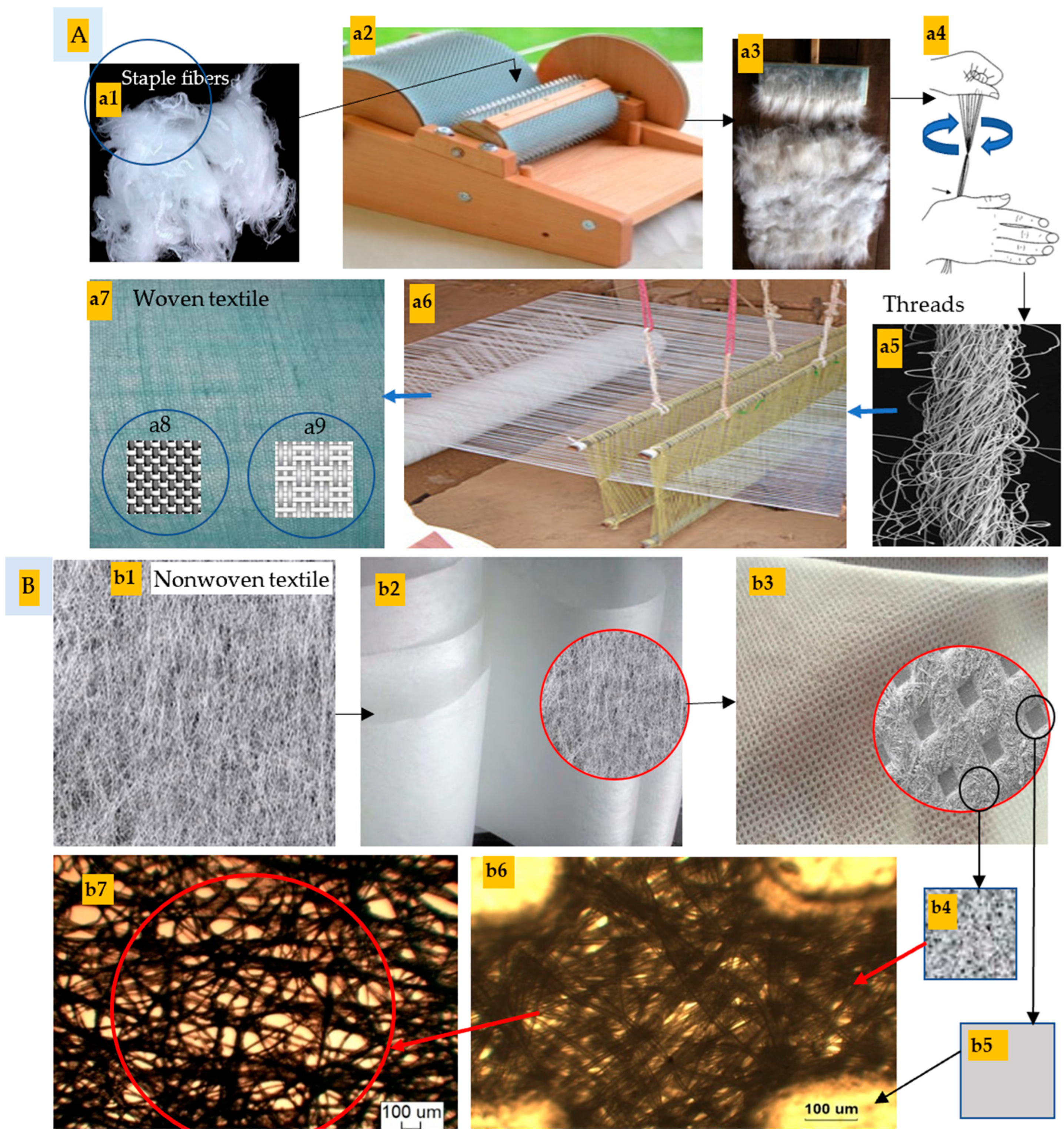 Polymers 16 02431 g004