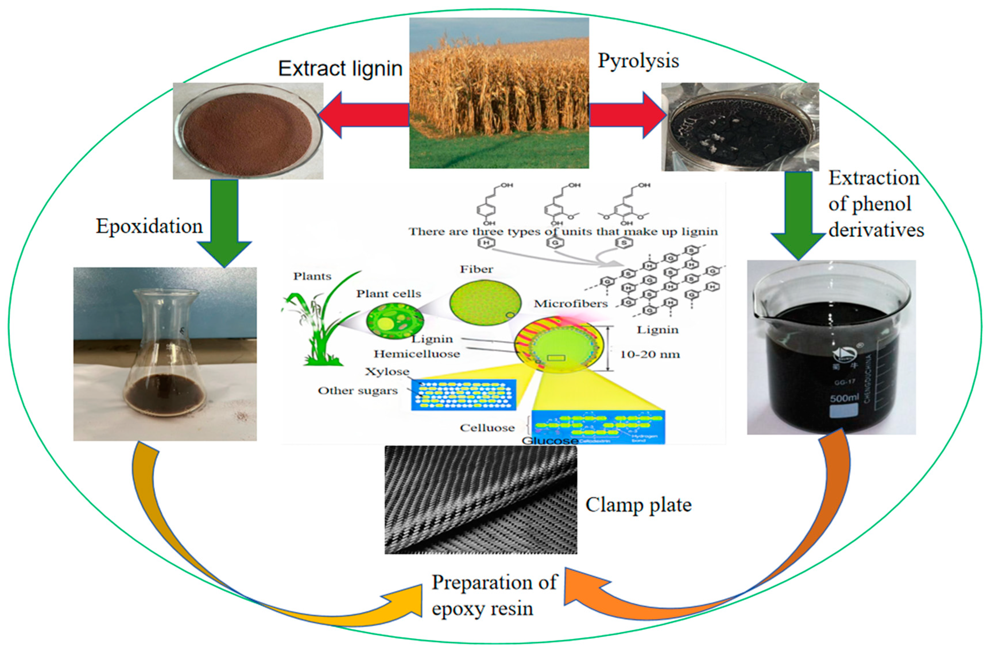 Polymers 16 02433 g002